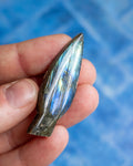 A hand holding a polished labradorite teardrop-shaped gemstone against a blue textured background.