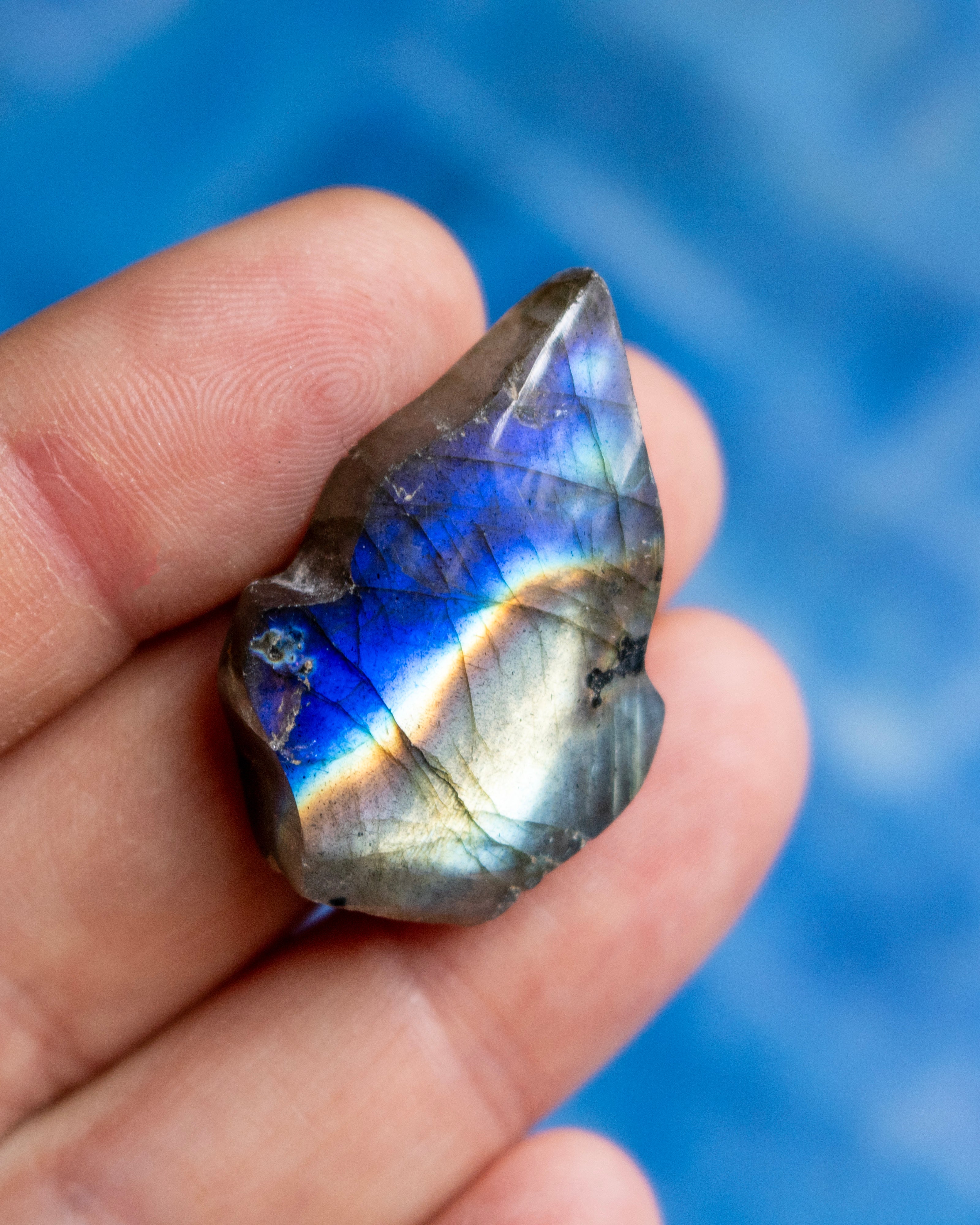 A raw labradorite stone held between fingers, showcasing its natural metallic gray texture and vibrant blue iridescent flashes against a blurred blue background.