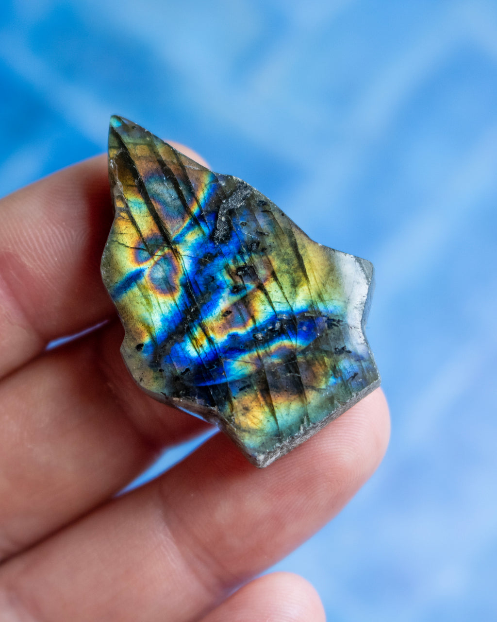 A hand holding a raw, rough-cut labradorite crystal showing vibrant blue, green, and gold iridescent flashes, set against a soft, out-of-focus blue background.