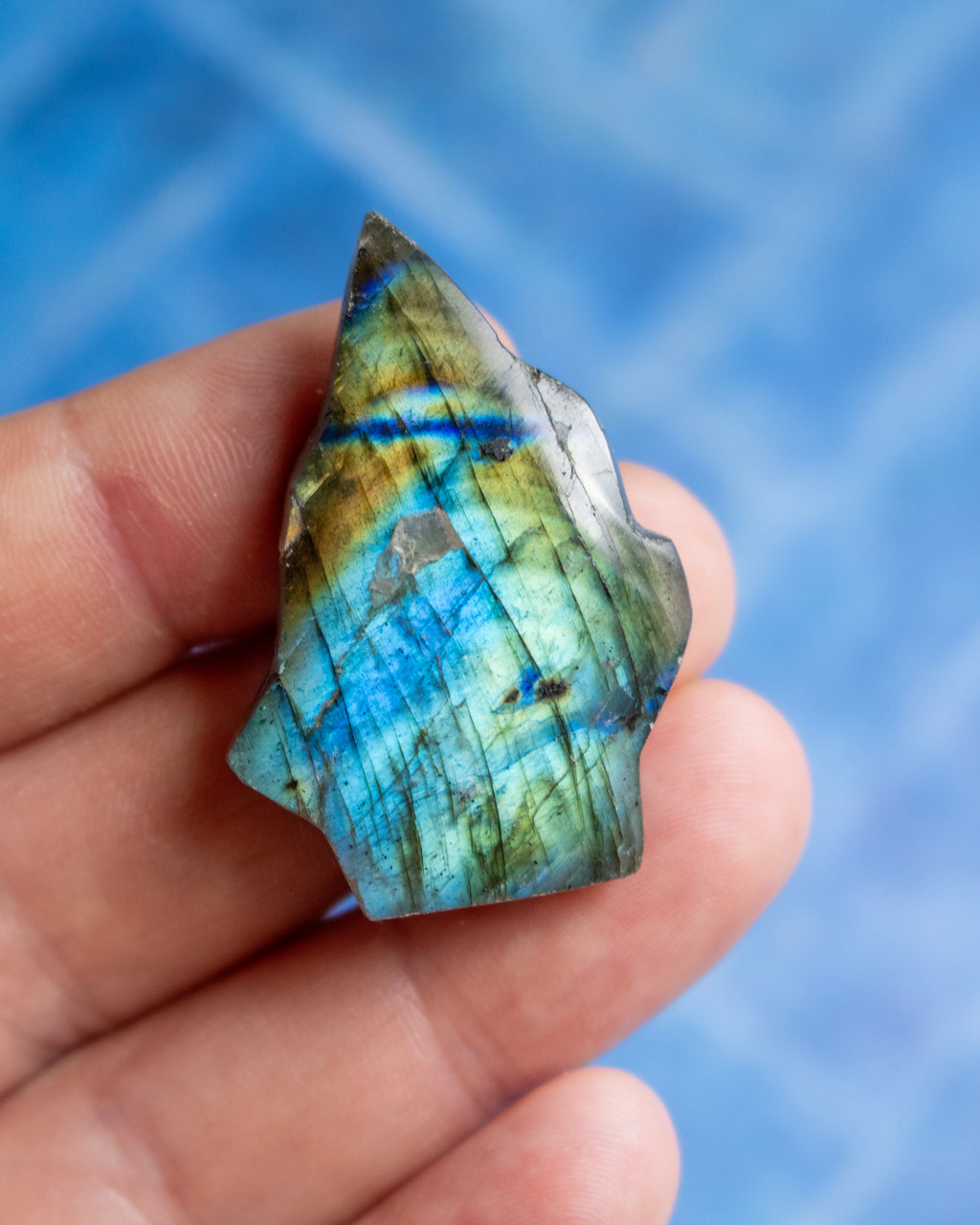 A hand holding a polished labradorite crystal showing vibrant blue, green, and gold iridescent flashes, set against a soft blue background.