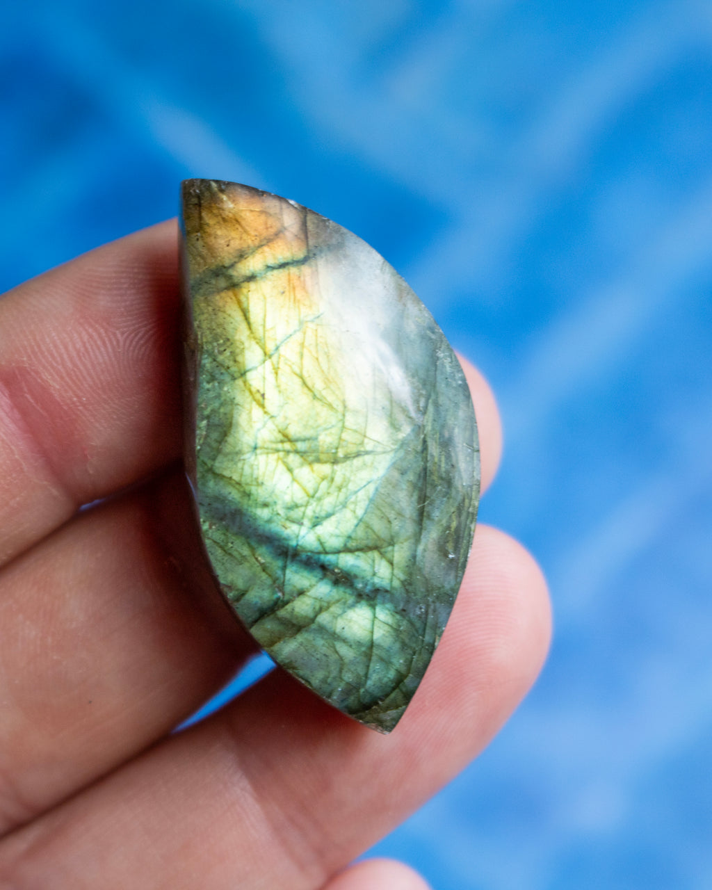 A polished labradorite gemstone held in a person's hand against a bright blue background. The stone displays characteristic green, gold, and gray iridescent mineral streaks.