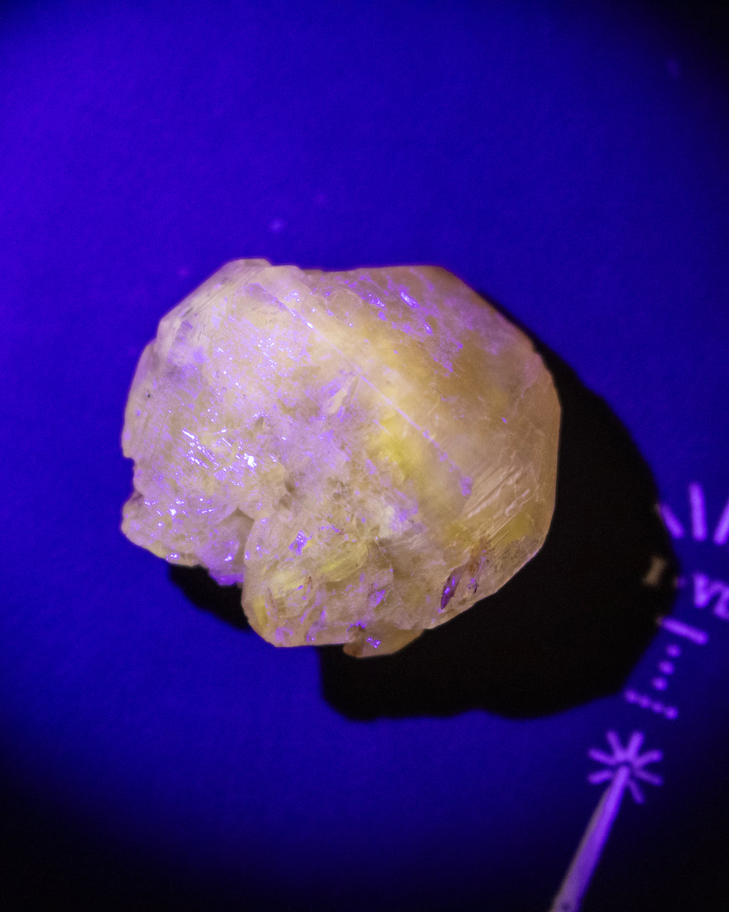 A rough, pale yellow crystal or mineral specimen photographed under blue-violet light against a dark purple background, with a small scale marker visible at the lower right.