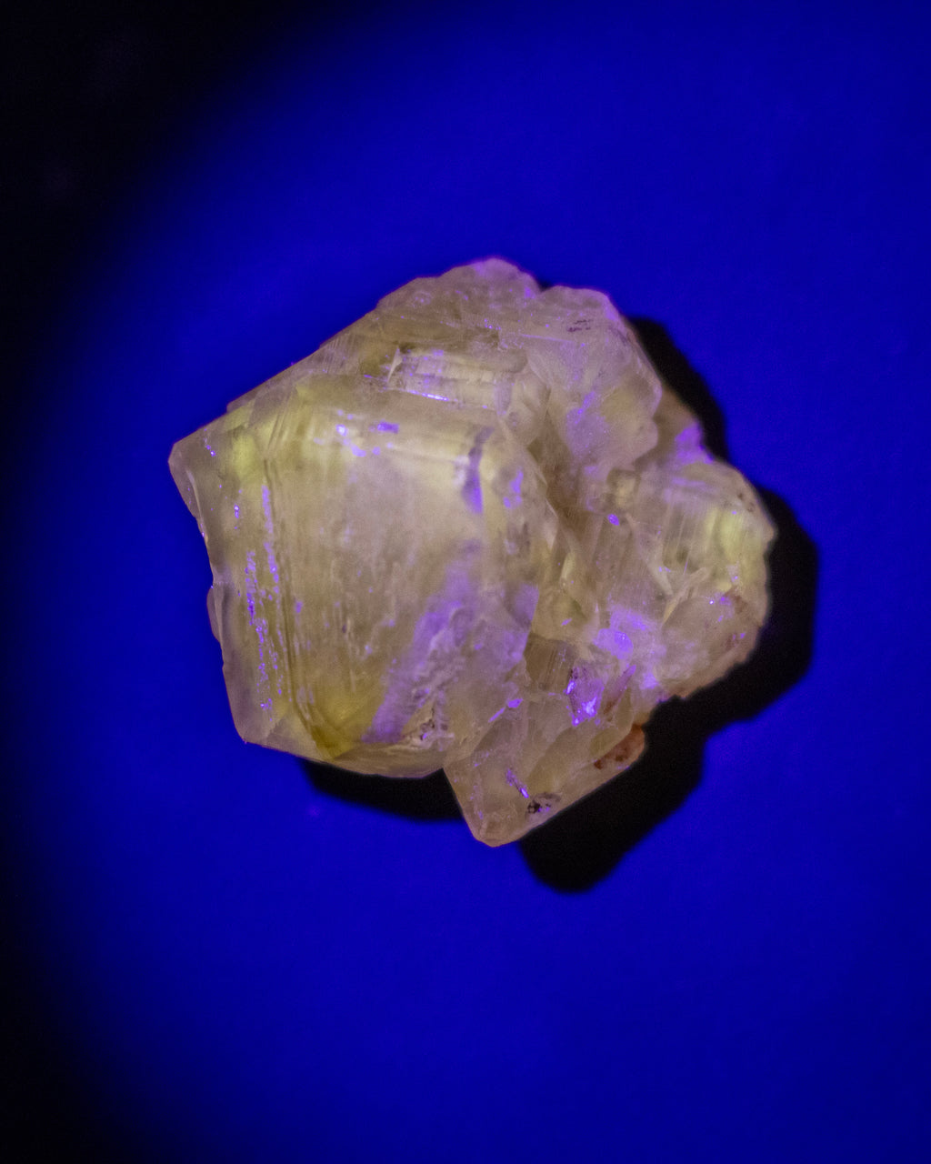 A rough, translucent pale yellow crystal or mineral specimen photographed against a vivid blue background.