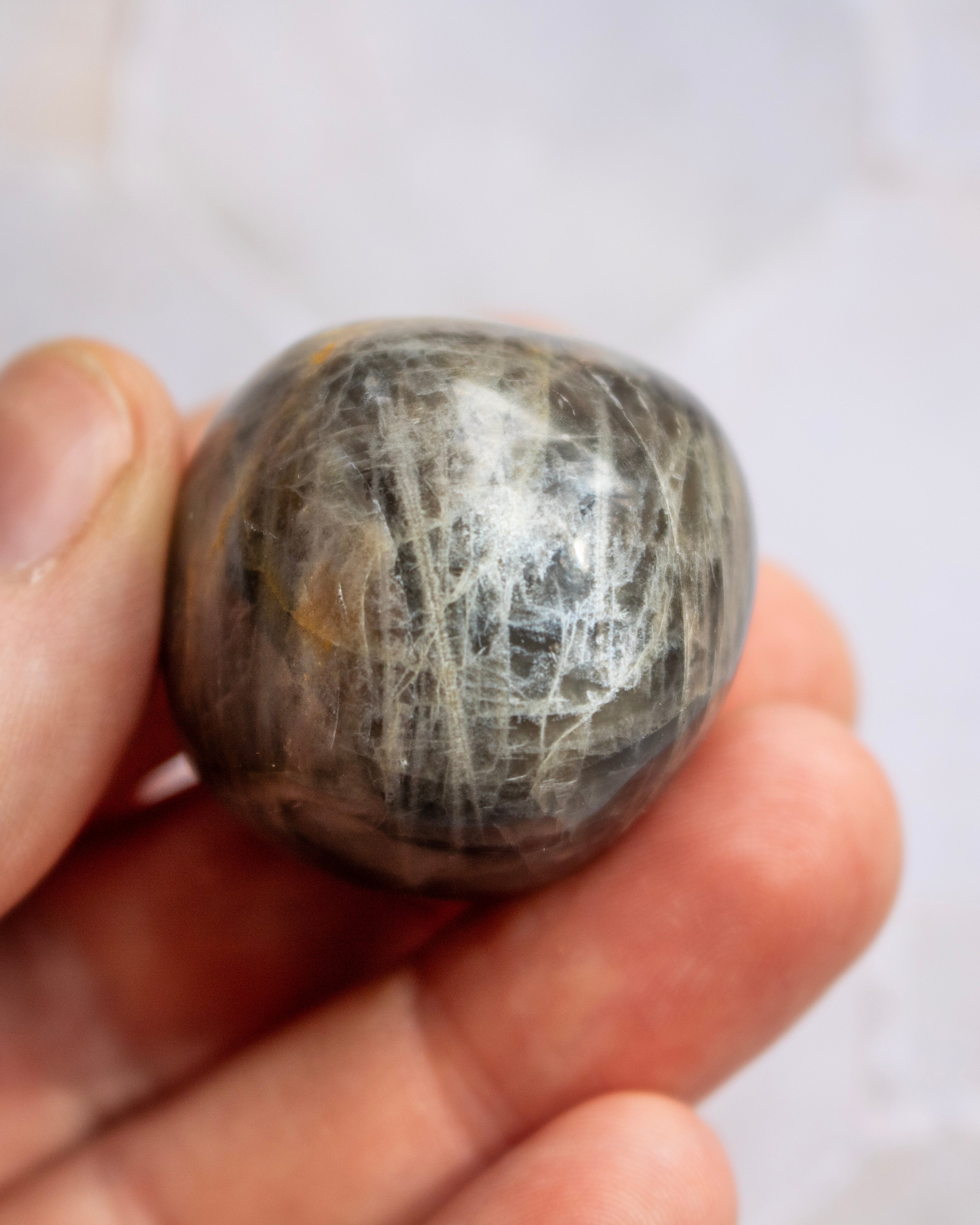 A polished round stone with a dark gray to black base and prominent white fibrous inclusions, held in a person's hand against a light, blurred background.