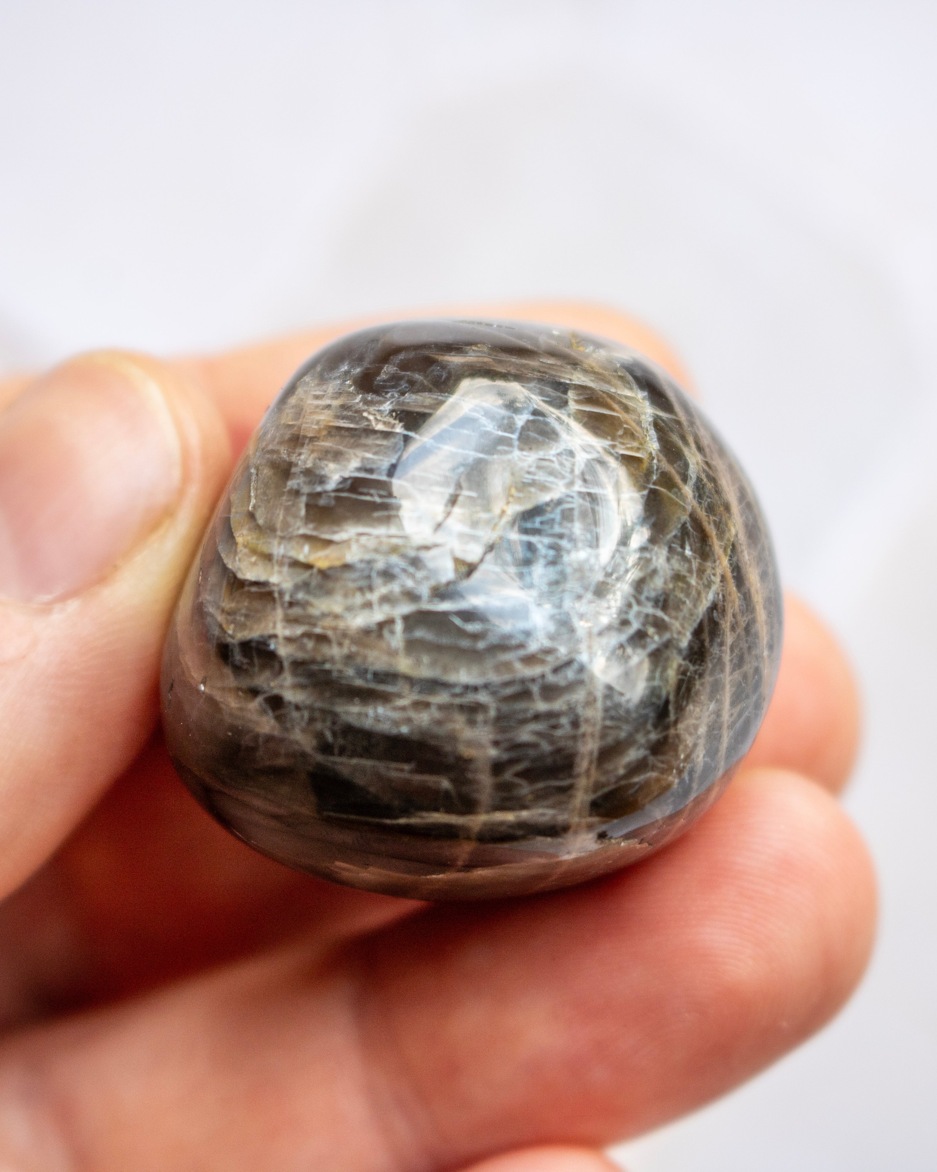 A polished dark gray stone with fine white veining, held in a person's hand against a soft white background.
