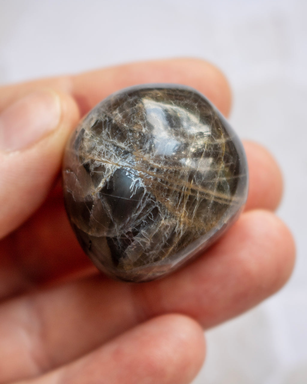 A polished black tourmaline crystal with prominent golden needle-like inclusions, held in a person's hand against a soft white background.