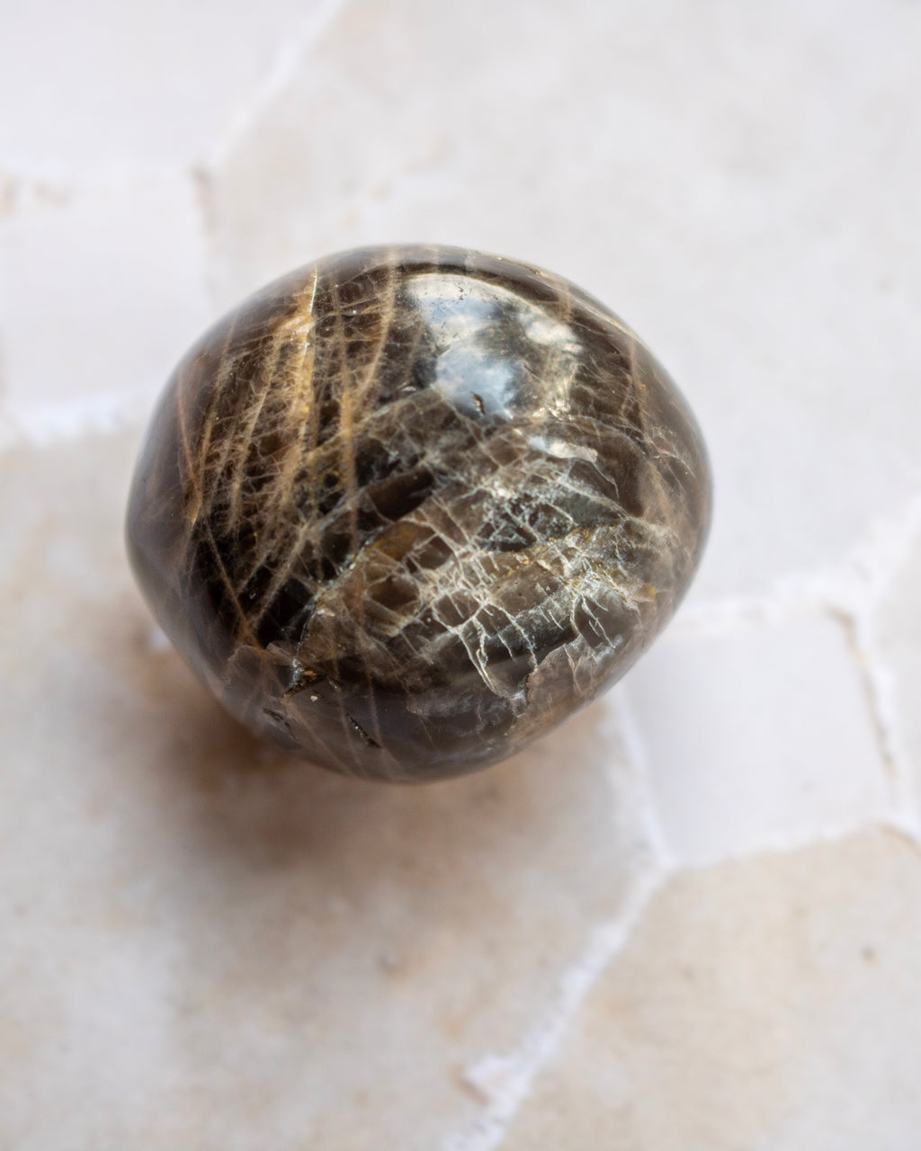 A polished round gemstone bead with a dark brown base and fine golden needle-like inclusions, resting on a light beige stone surface.