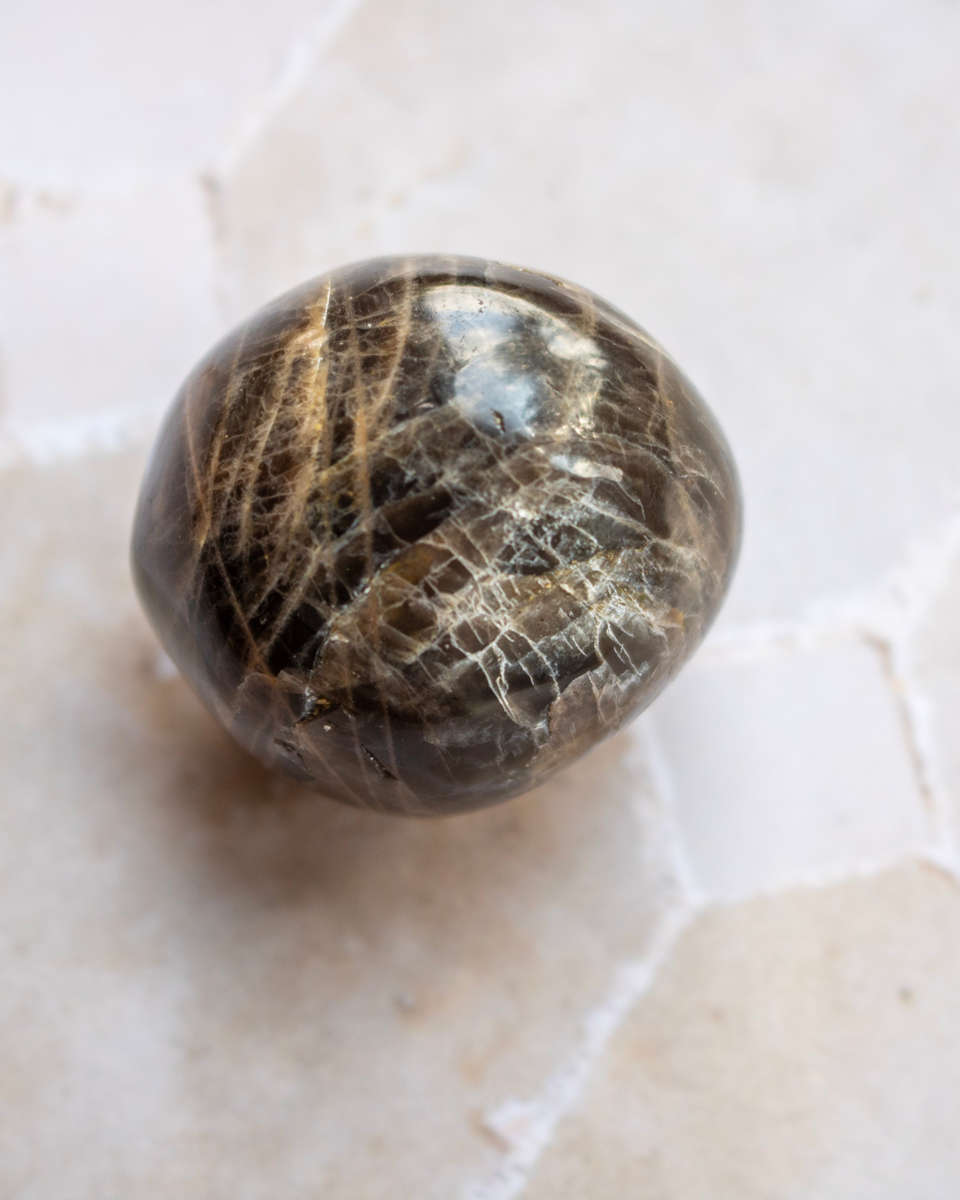 A polished round gemstone bead with a dark brown base and fine golden needle-like inclusions, resting on a light beige stone surface.