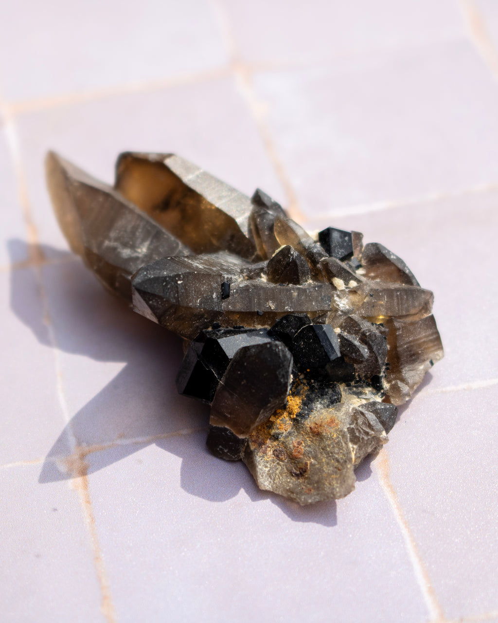 A natural mineral crystal cluster featuring prominent black points and smoky brown quartz crystal points, resting on a light-colored tiled surface.