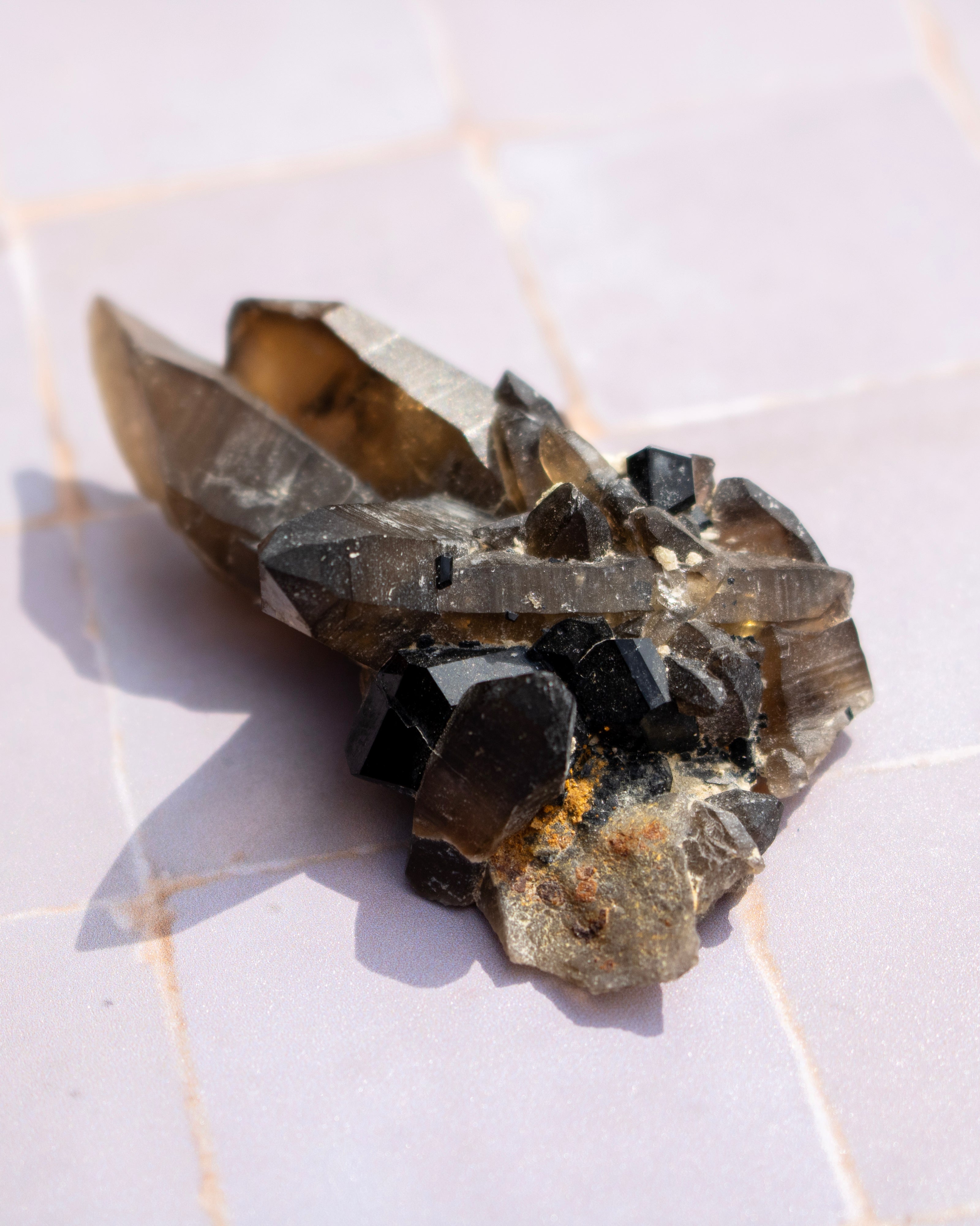 A natural mineral crystal cluster featuring prominent black points and smoky brown quartz crystal points, resting on a light-colored tiled surface.