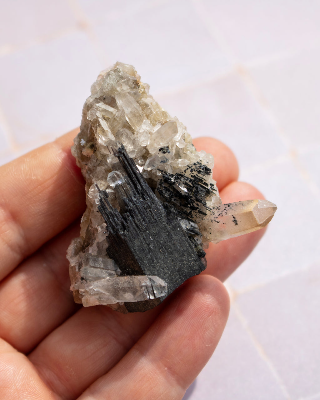 A hand holding a natural mineral specimen featuring a mix of clear quartz crystals and a prominent dark gray to black needle-like crystalline structure, set against a light tiled background.