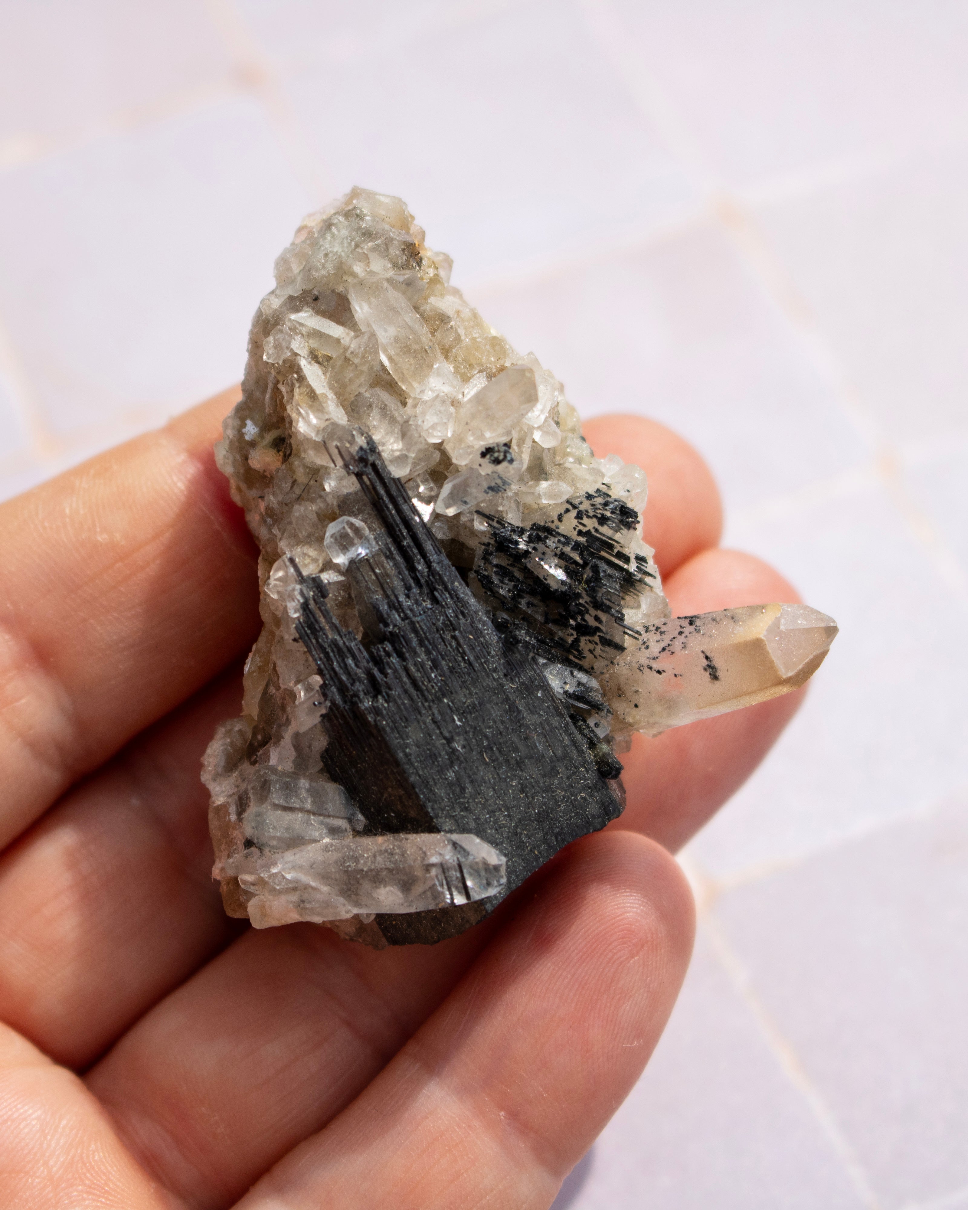 A hand holding a natural mineral specimen featuring a mix of clear quartz crystals and a prominent dark gray to black needle-like crystalline structure, set against a light tiled background.
