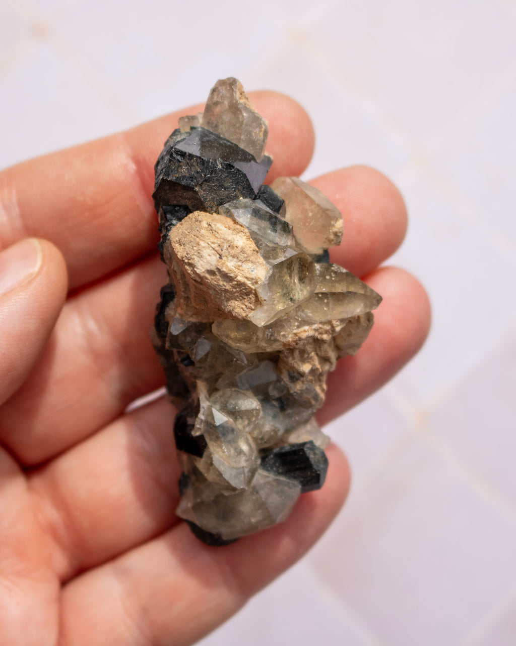 A hand holding a raw mineral crystal cluster featuring dark gray to black smoky quartz, clear quartz, and tan to light brown matrix.