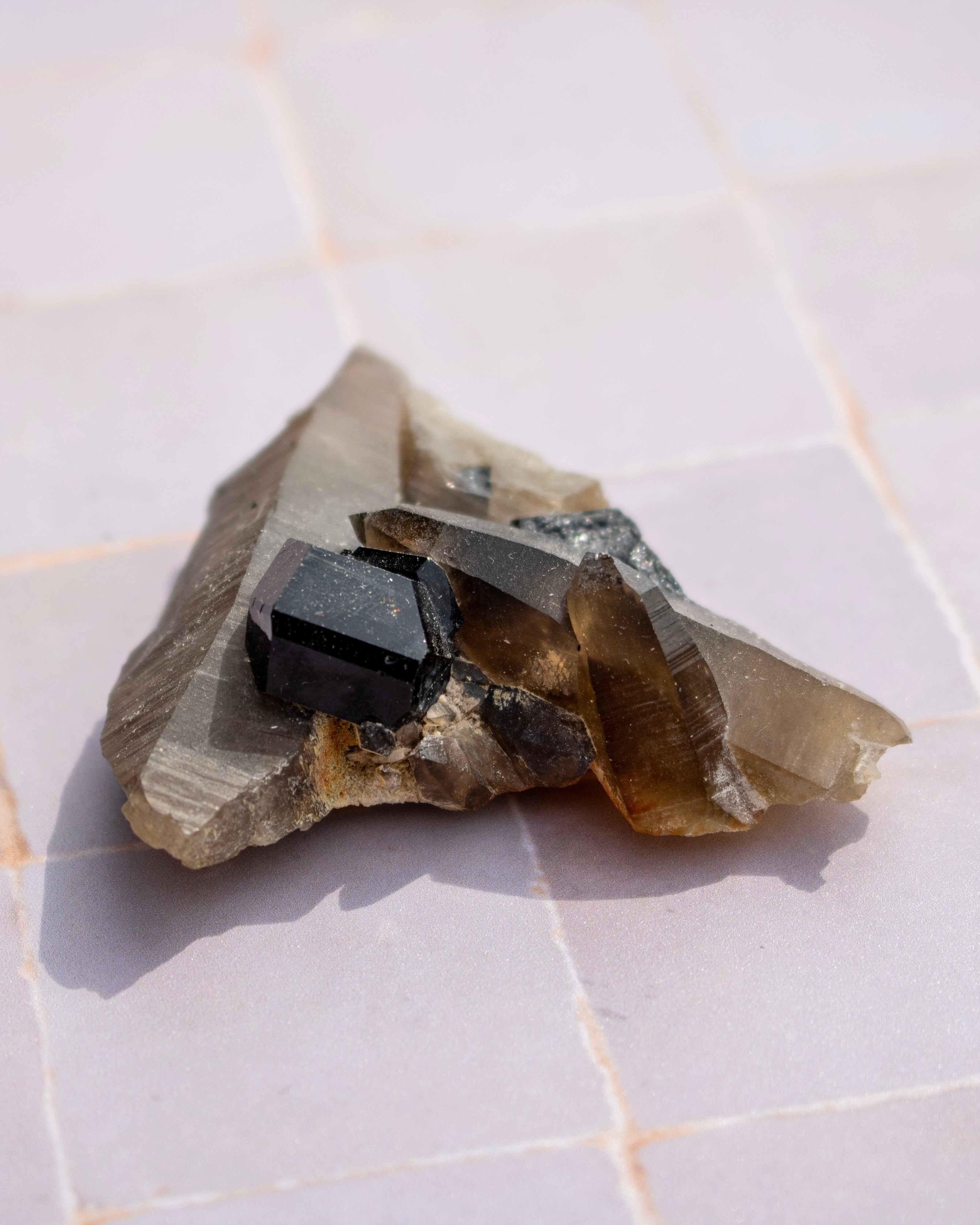 A raw mineral specimen featuring a prominent glossy black crystal alongside translucent smoky brown and gray crystals, resting on a light beige tiled surface.