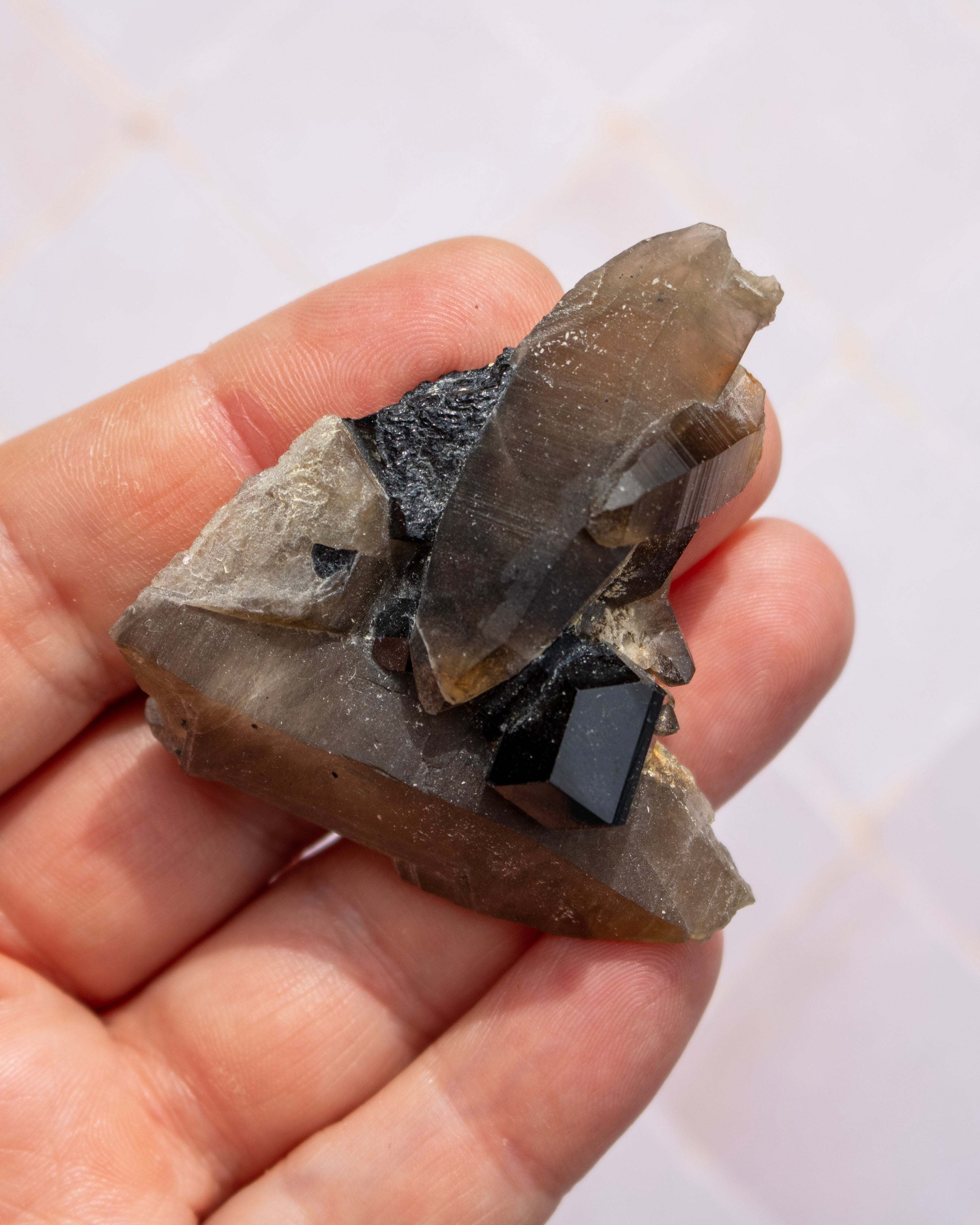 A hand holding a raw mineral specimen featuring a large smoky brown crystal and a small black gemstone on a light tiled background.