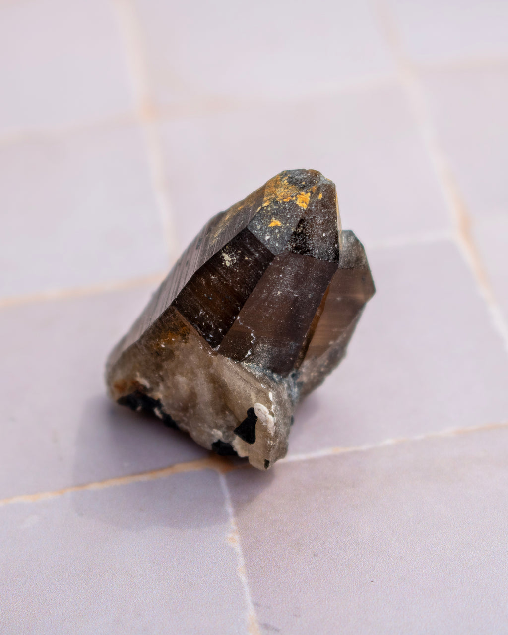 A raw smoky quartz crystal cluster with dark brown and black translucent sections and small gold inclusions, resting on a light gray tiled surface.