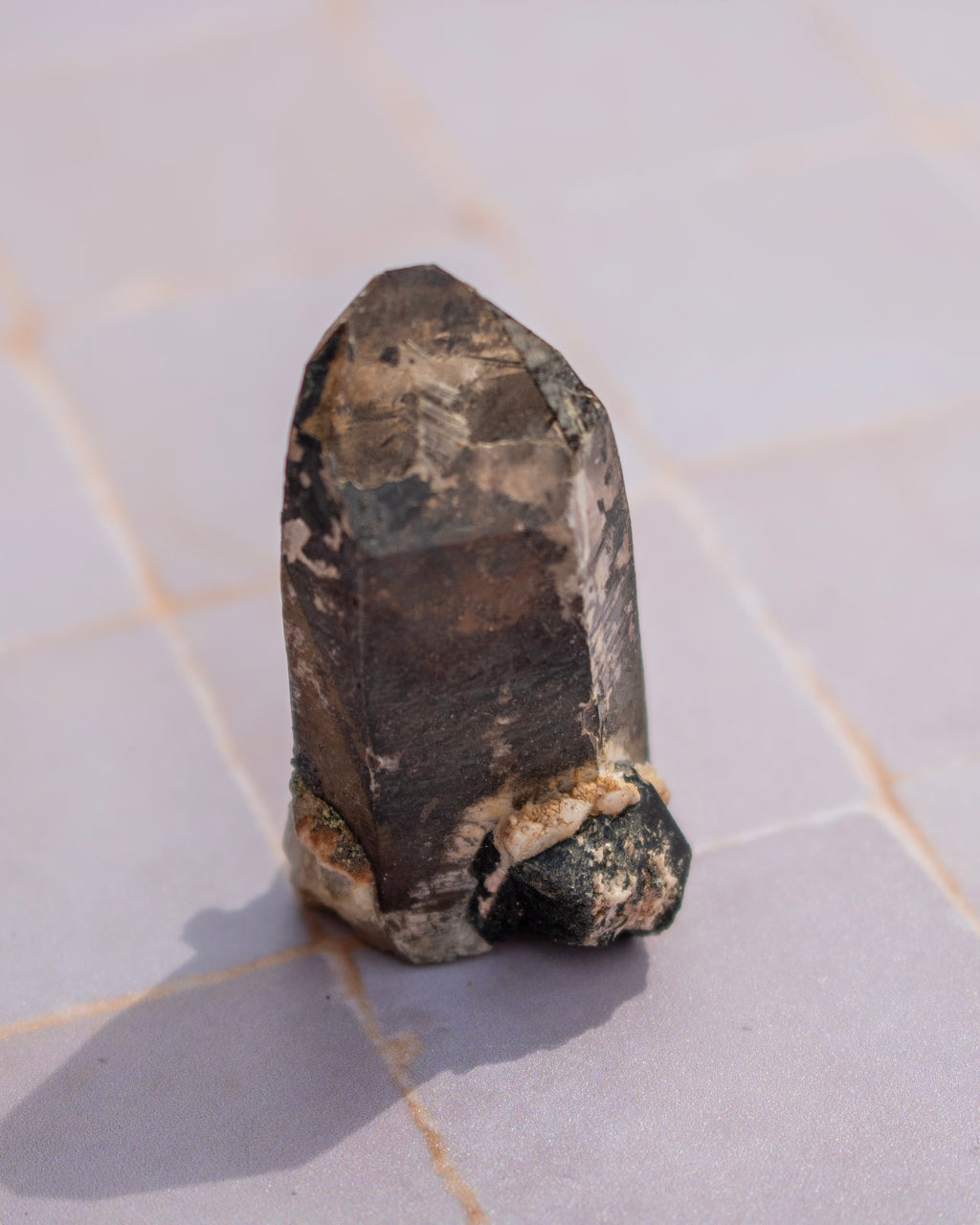 A natural dark brown and black crystal point with a rough, textured base, standing upright on a light-colored tiled surface.