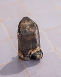 A natural dark brown and black crystal point with a rough, textured base, standing upright on a light-colored tiled surface.