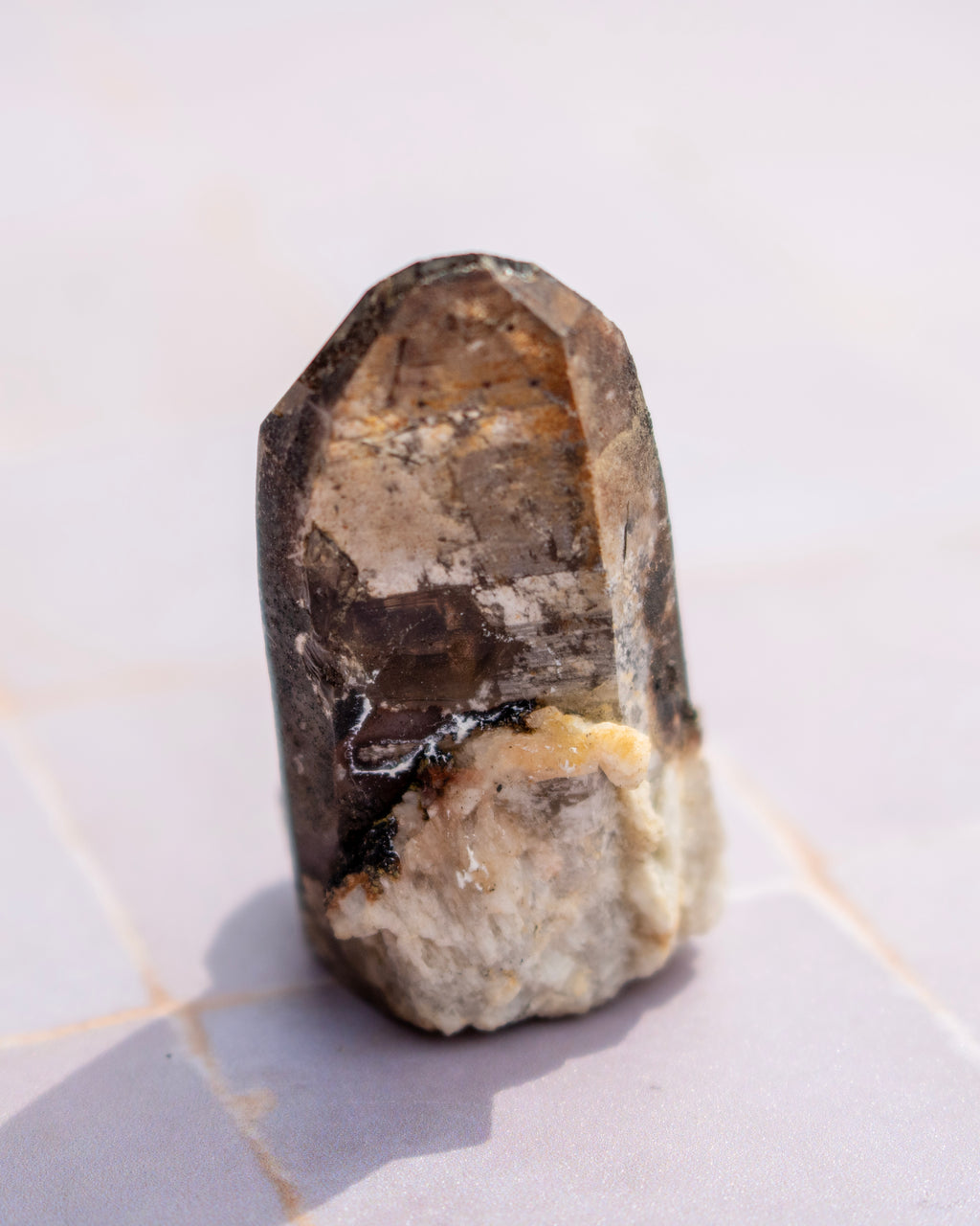 A raw crystal mineral specimen with a dark brown to black top section and a light beige to off-white base, standing upright on a light-colored tiled surface.