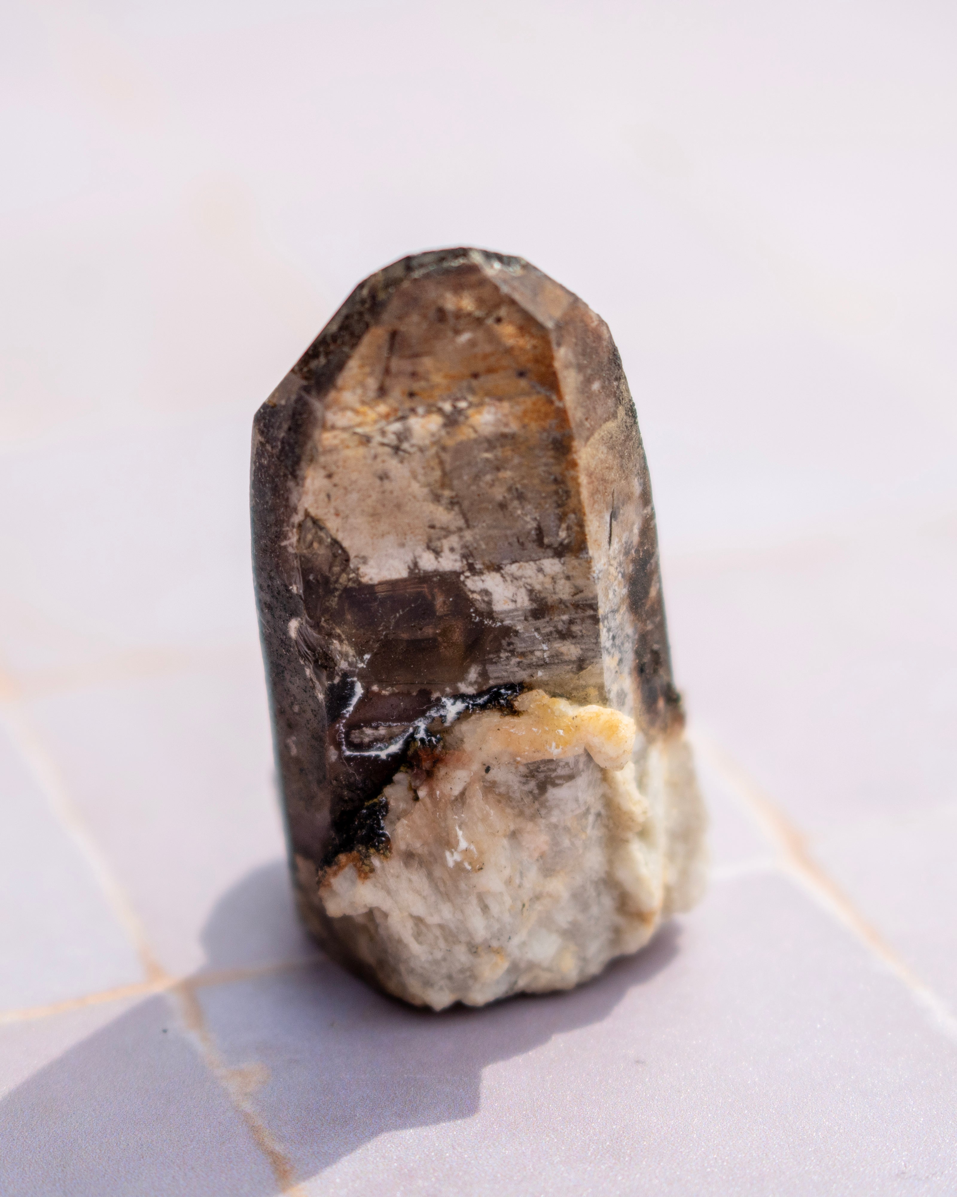 A raw crystal mineral specimen with a dark brown to black top section and a light beige to off-white base, standing upright on a light-colored tiled surface.