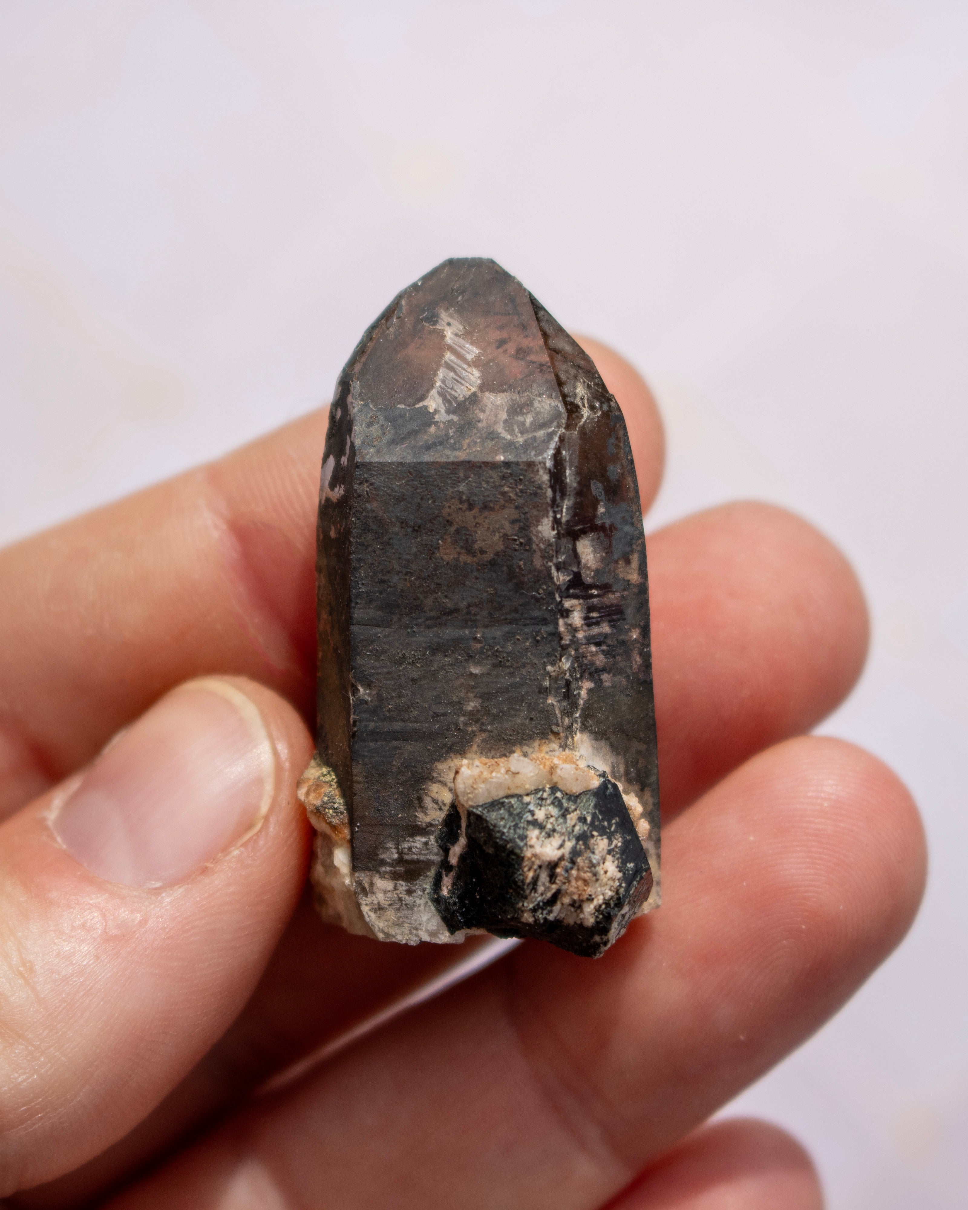 A dark, polished quartz crystal point held in a person's hand against a light, neutral background.