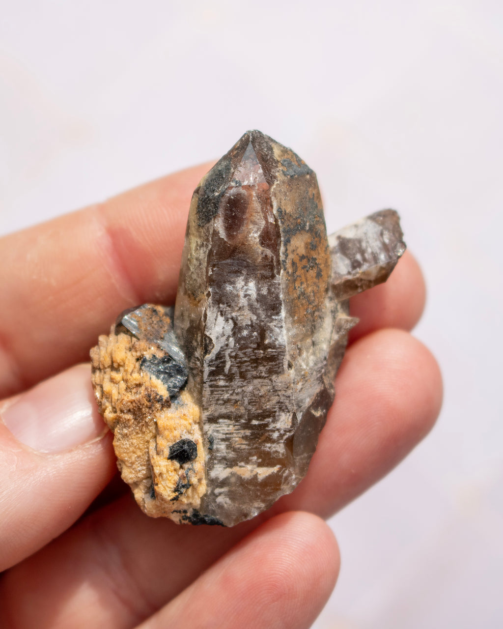 A hand holding a raw quartz crystal cluster with a brown and gray translucent main point and a tan matrix.