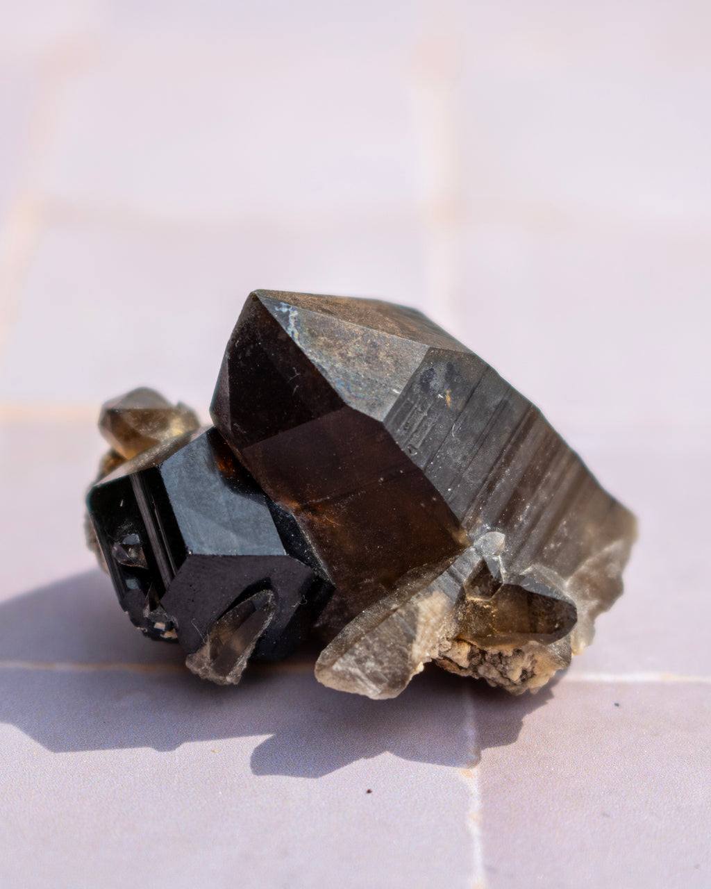 A natural smoky quartz crystal cluster with faceted dark gray to black crystal points and rough beige matrix, photographed on a light surface.
