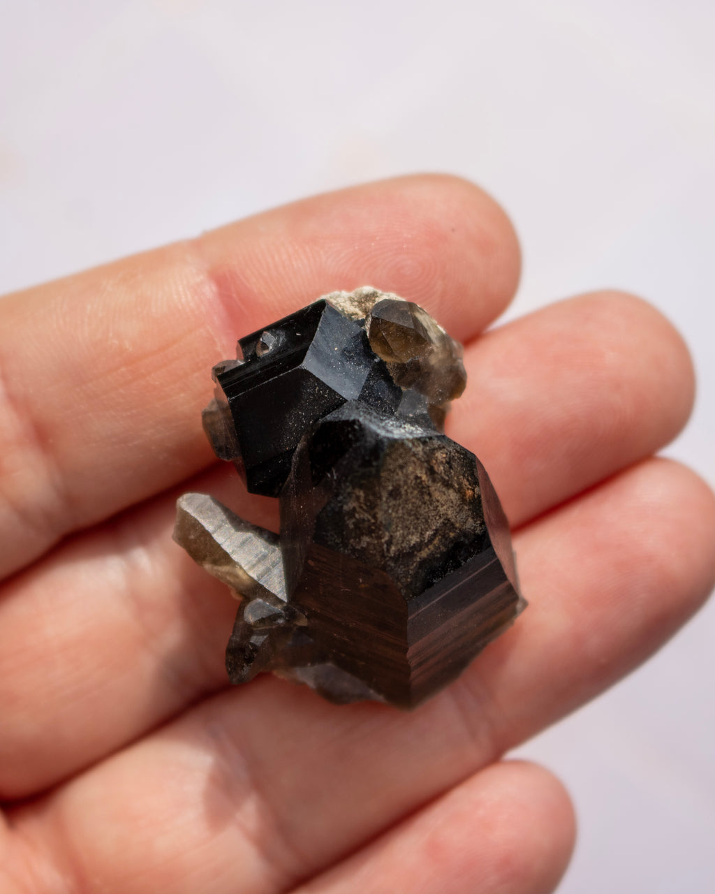 A hand holding a small cluster of dark, polished mineral crystals with rough, natural outer layers against a plain light background.