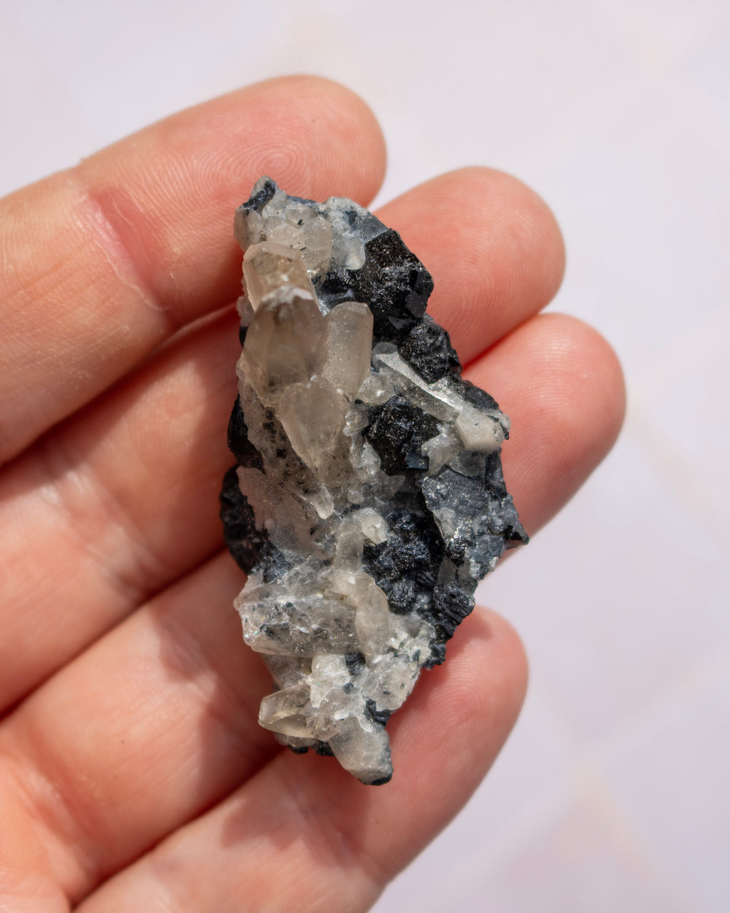 A hand holding a raw mineral specimen showing clear quartz crystal clusters on a dark, almost black matrix, set against a plain light background.