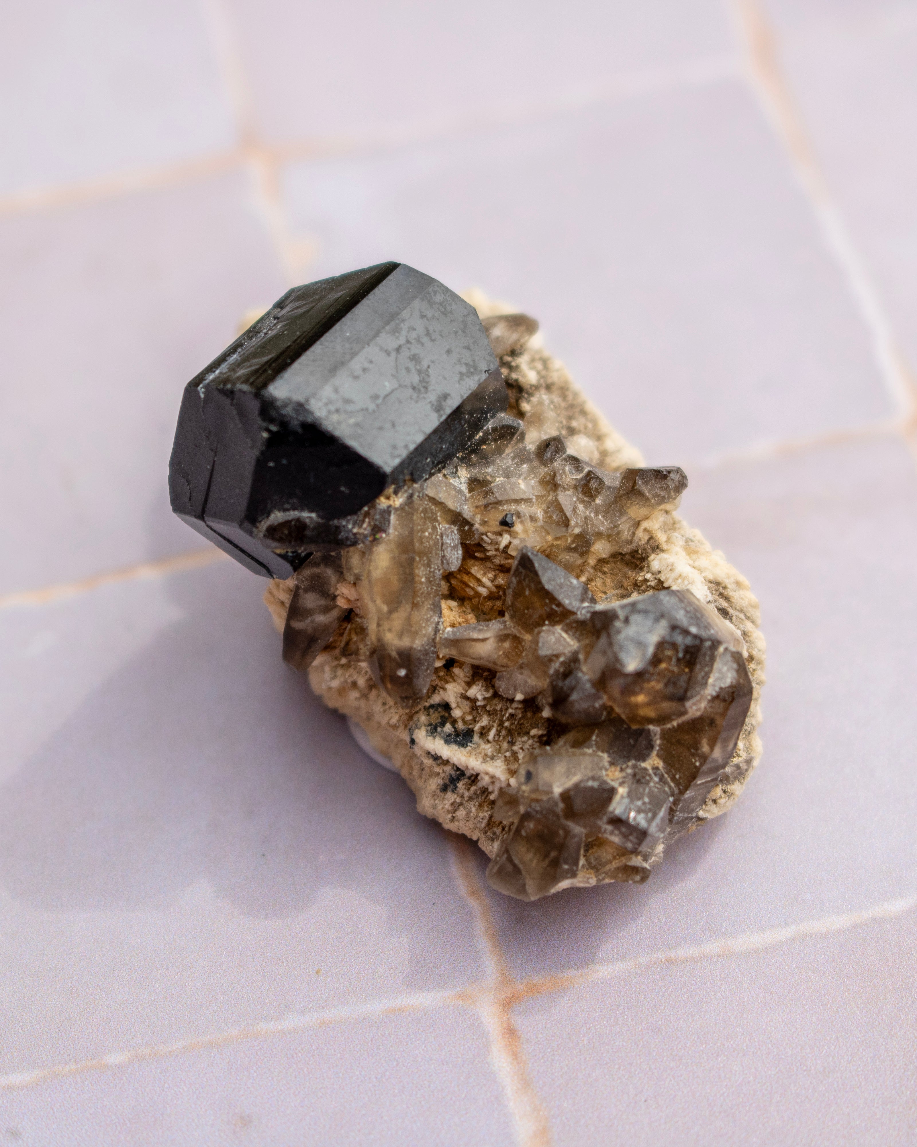 A natural mineral specimen featuring a prominent black gemstone crystal on a cluster of smoky brown and translucent quartz crystals, resting on a light-colored tiled surface.