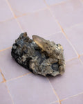A raw smoky quartz crystal cluster with a rough, earthy matrix and a small metallic silver crystal point, resting on a light gray tiled surface.