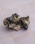A natural smoky quartz crystal cluster with dark gray to black translucent points on a rough, light gray matrix, resting on a light gray tiled surface.