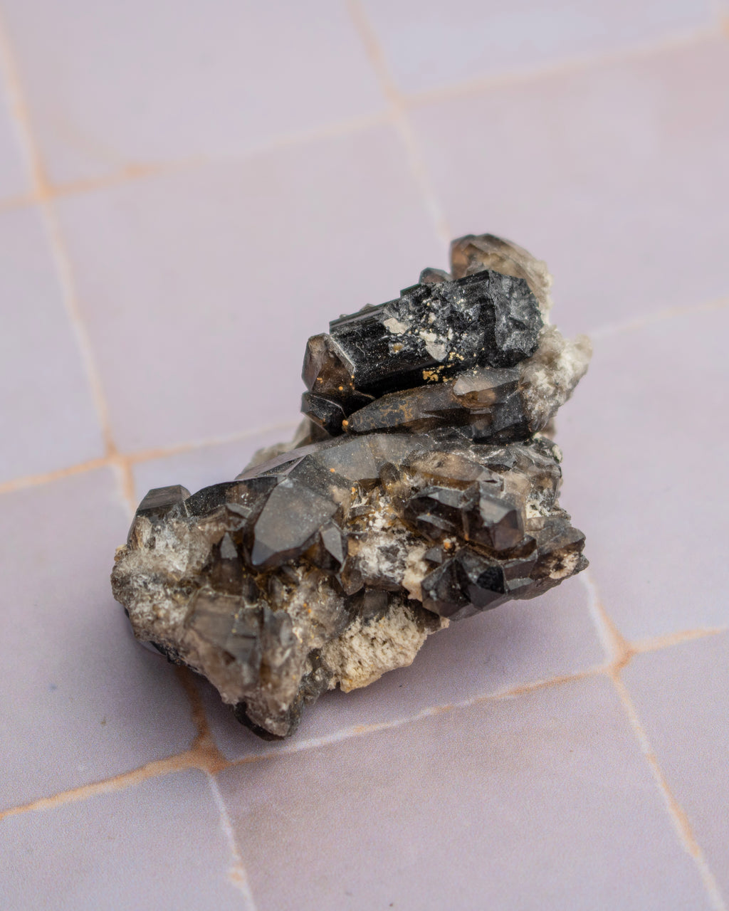 A raw mineral specimen featuring dark brown and black smoky quartz crystals on a light beige matrix, resting on a light pink tiled surface.