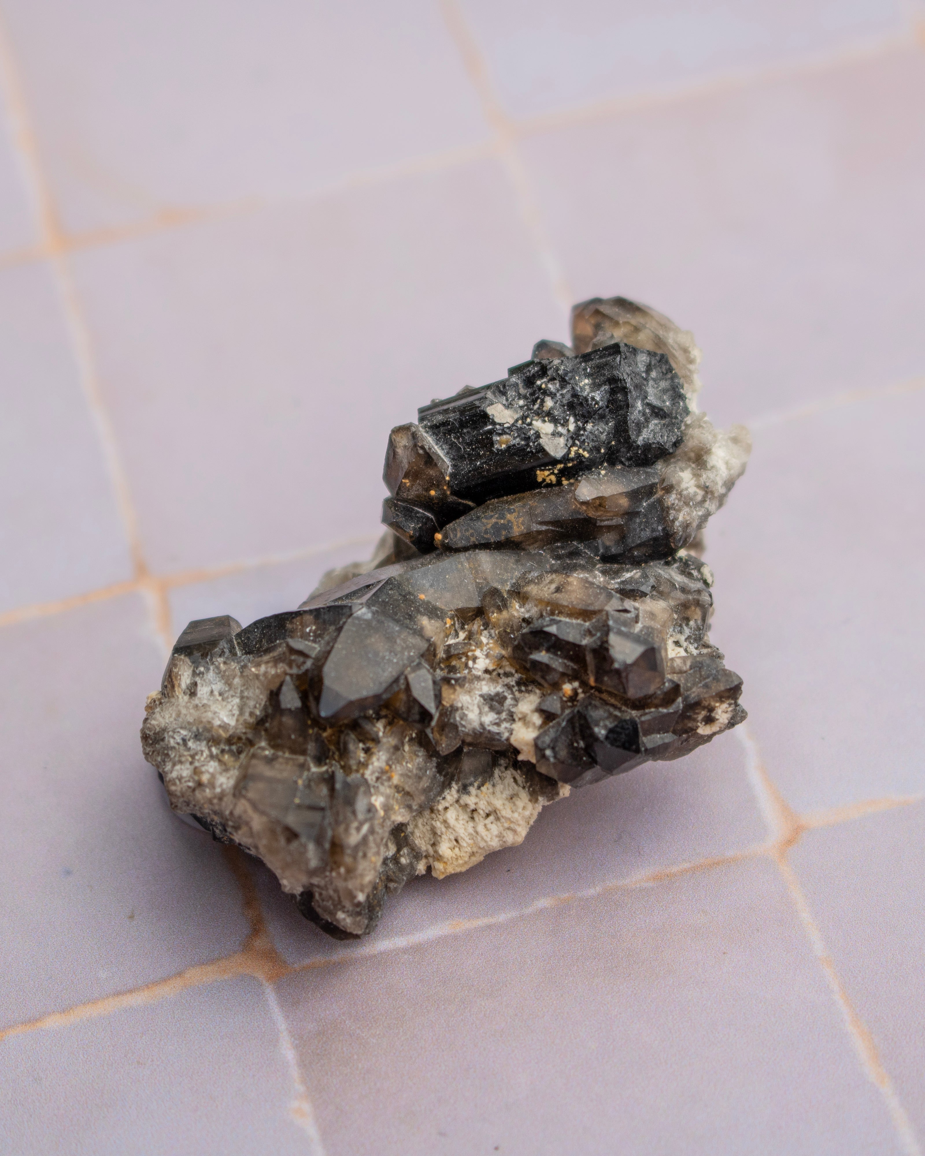 A raw mineral specimen featuring dark brown and black smoky quartz crystals on a light beige matrix, resting on a light pink tiled surface.