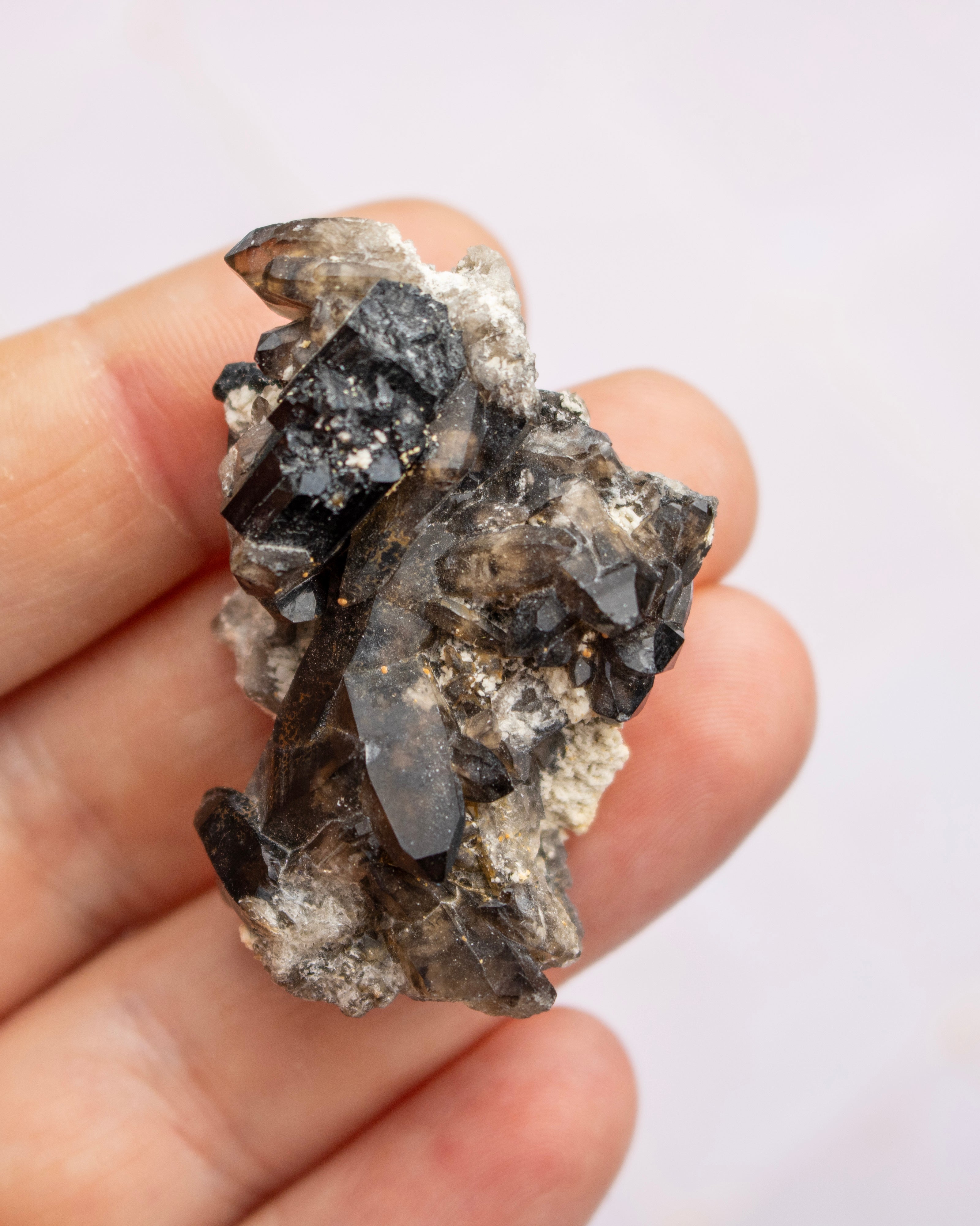 A hand holding a raw smoky quartz crystal cluster with dark gray to black translucent quartz points on a light beige matrix, set against a plain light background.