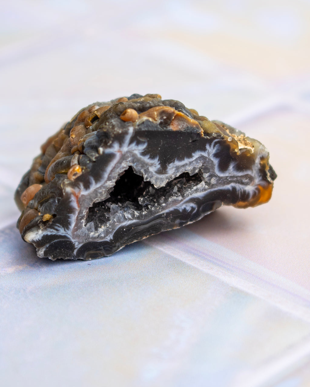 A close-up of a polished geode slice or crystal cluster specimen with a dark outer rind, white and gray inner cavity walls, and small warm brown inclusions, photographed on a soft light background.