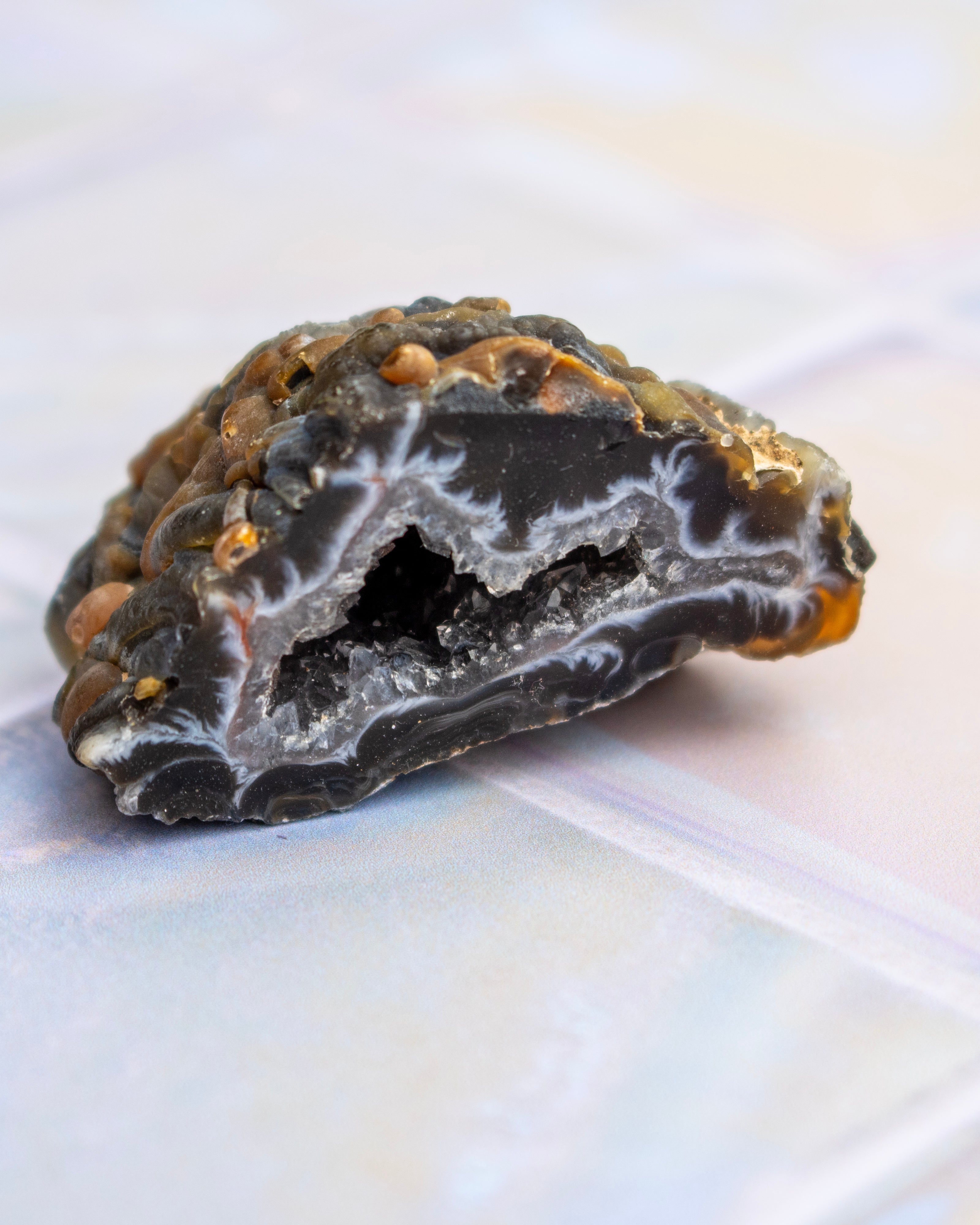 A close-up of a polished geode slice or crystal cluster specimen with a dark outer rind, white and gray inner cavity walls, and small warm brown inclusions, photographed on a soft light background.