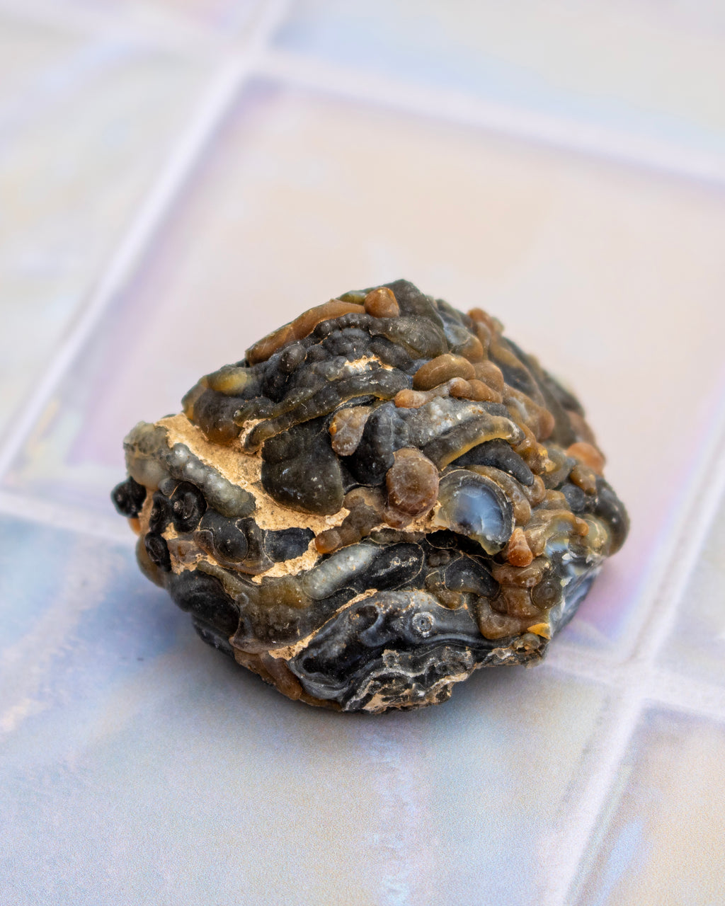 A small natural stone with dark gray to black and tan/beige margins, photographed close-up on a glossy pale tile surface.