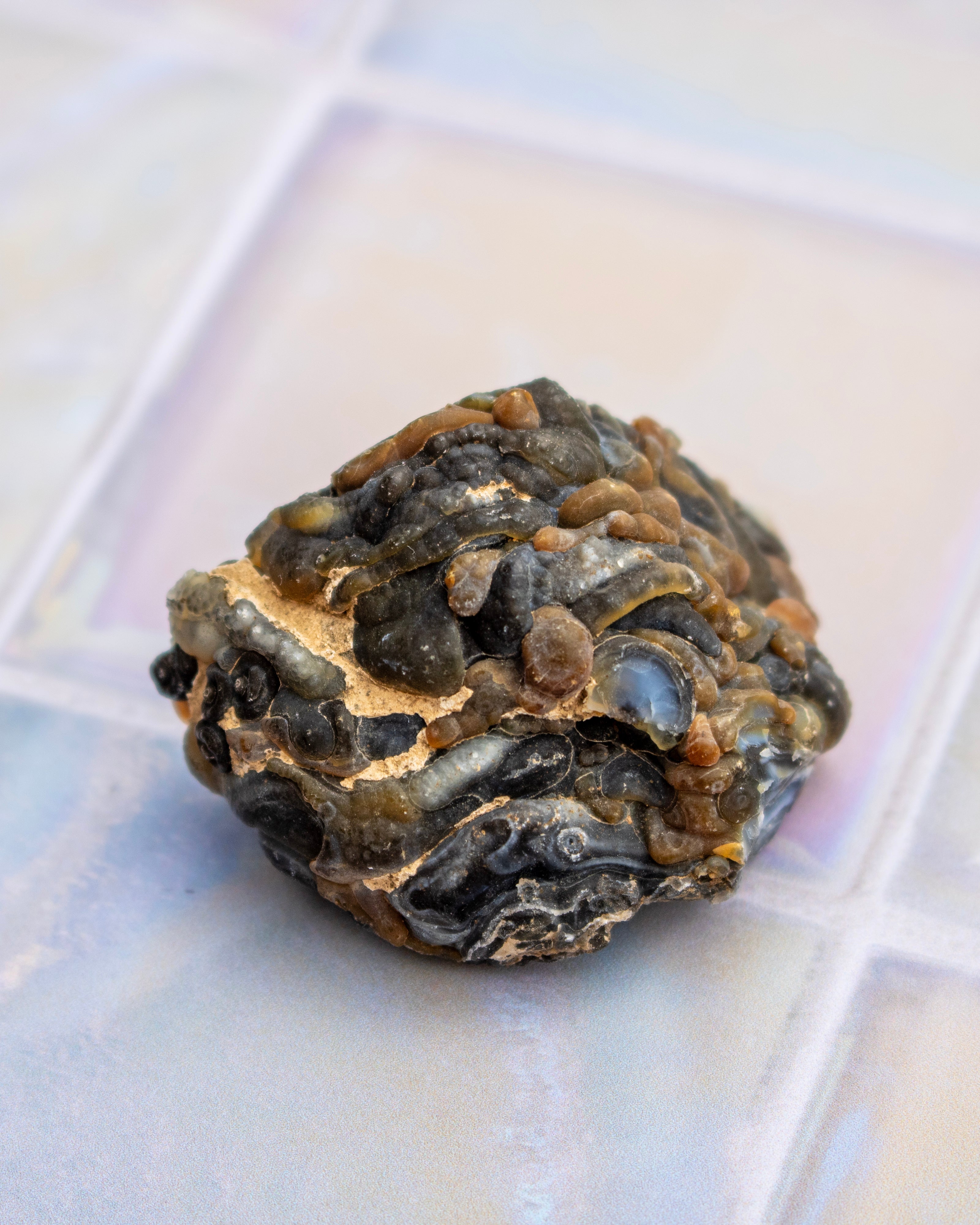 A small natural stone with dark gray to black and tan/beige margins, photographed close-up on a glossy pale tile surface.