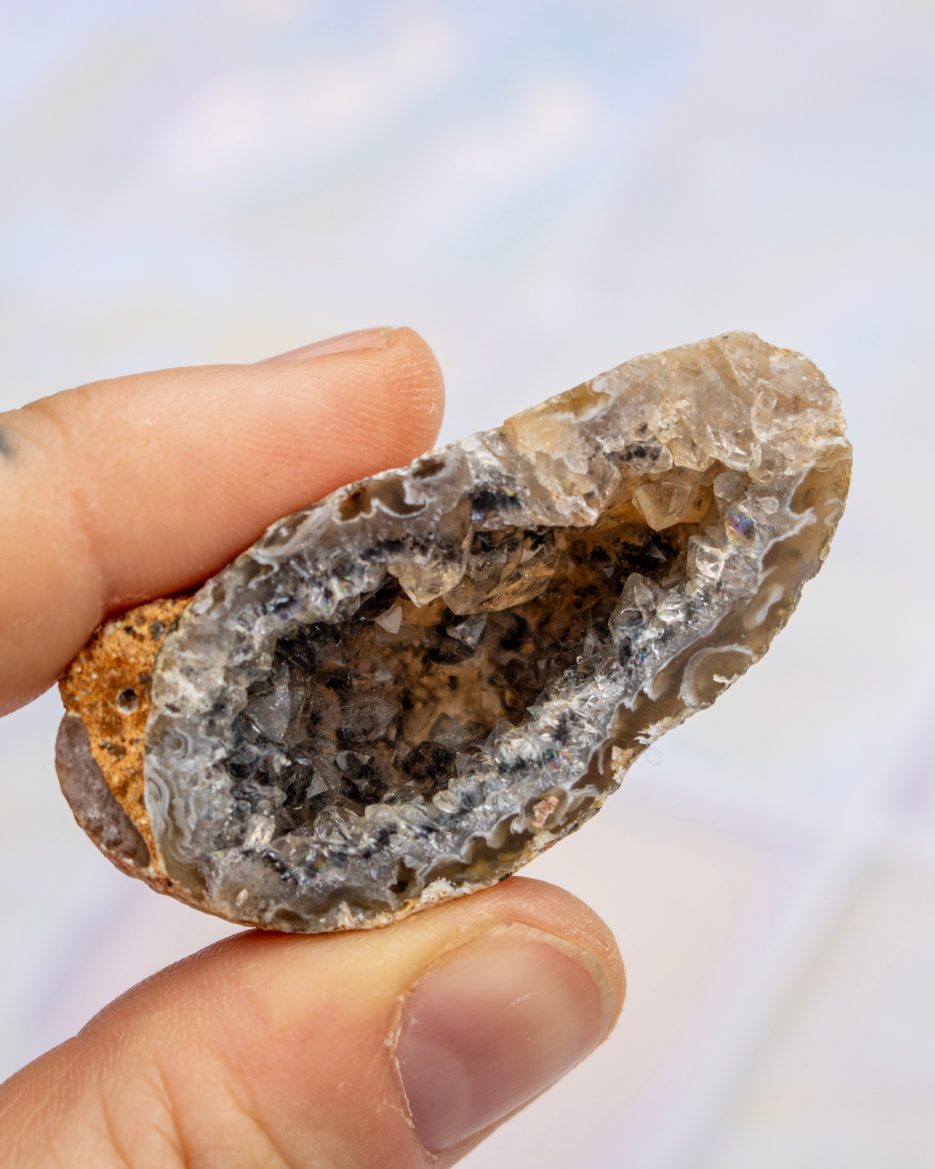 A hand holding a raw geode specimen with a hollowed-out interior showing dark brown and black agate crystals surrounded by a translucent gray outer matrix.