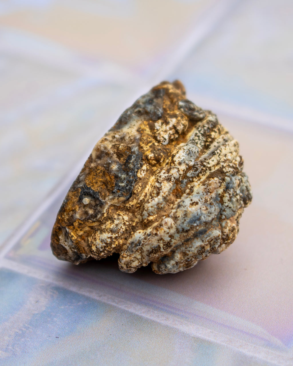A rough, textured metallic specimen with a mix of gold, silver, and gray tones, resting on a light-colored iridescent surface.