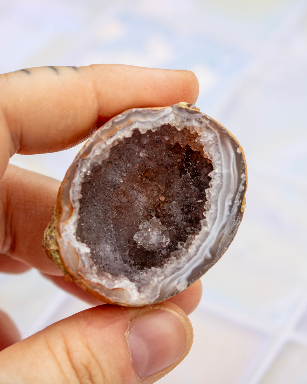 A hand holding a cross-section of a geode with a dark brown crystalline interior and a gray outer rind.