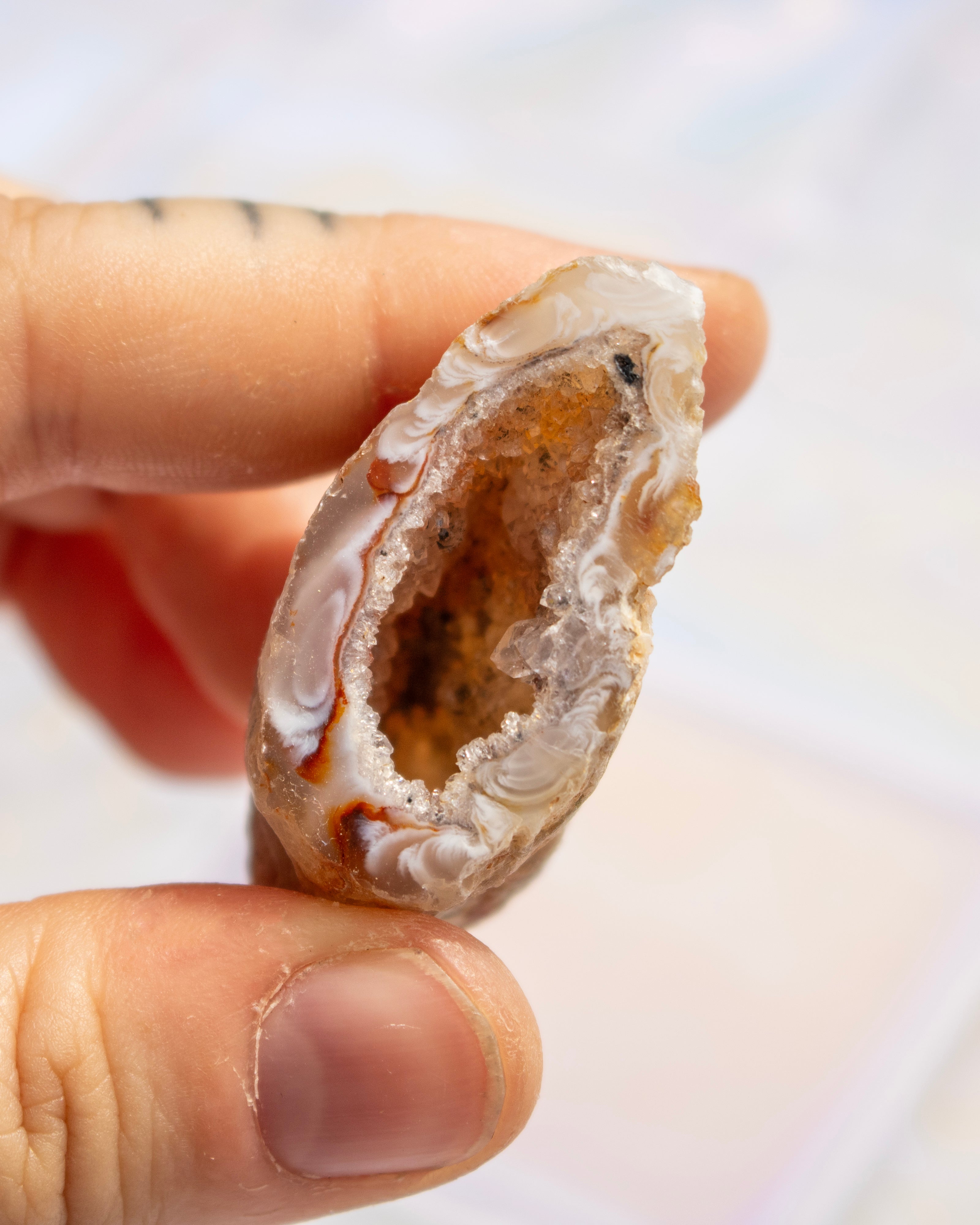 A close-up of a hand holding a polished geode specimen with a white pearly crystal cavity and brown outer matrix, against a soft light background.