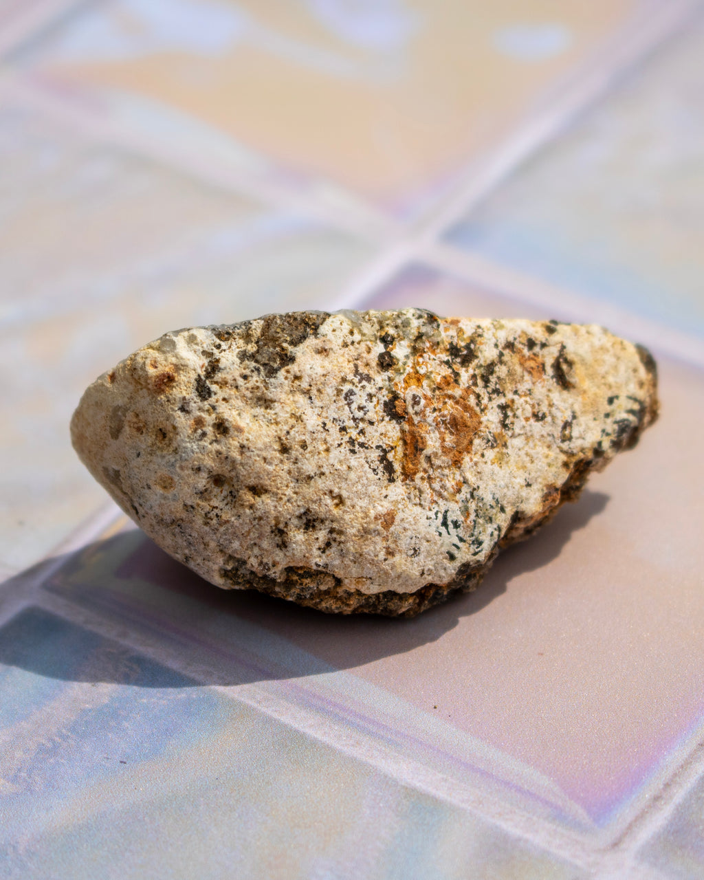 A rough, natural stone or pebble with a speckled beige, brown, and dark gray surface, resting on a glossy, iridescent tile surface.