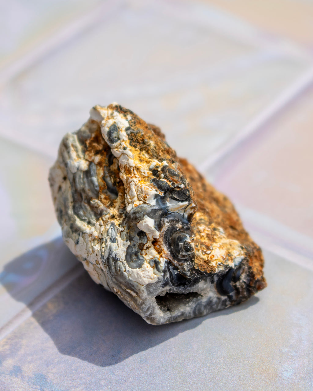 A natural rough stone or mineral specimen with a textured, porous surface, showing a mix of gray, beige, and brown tones, resting on a light gray surface.