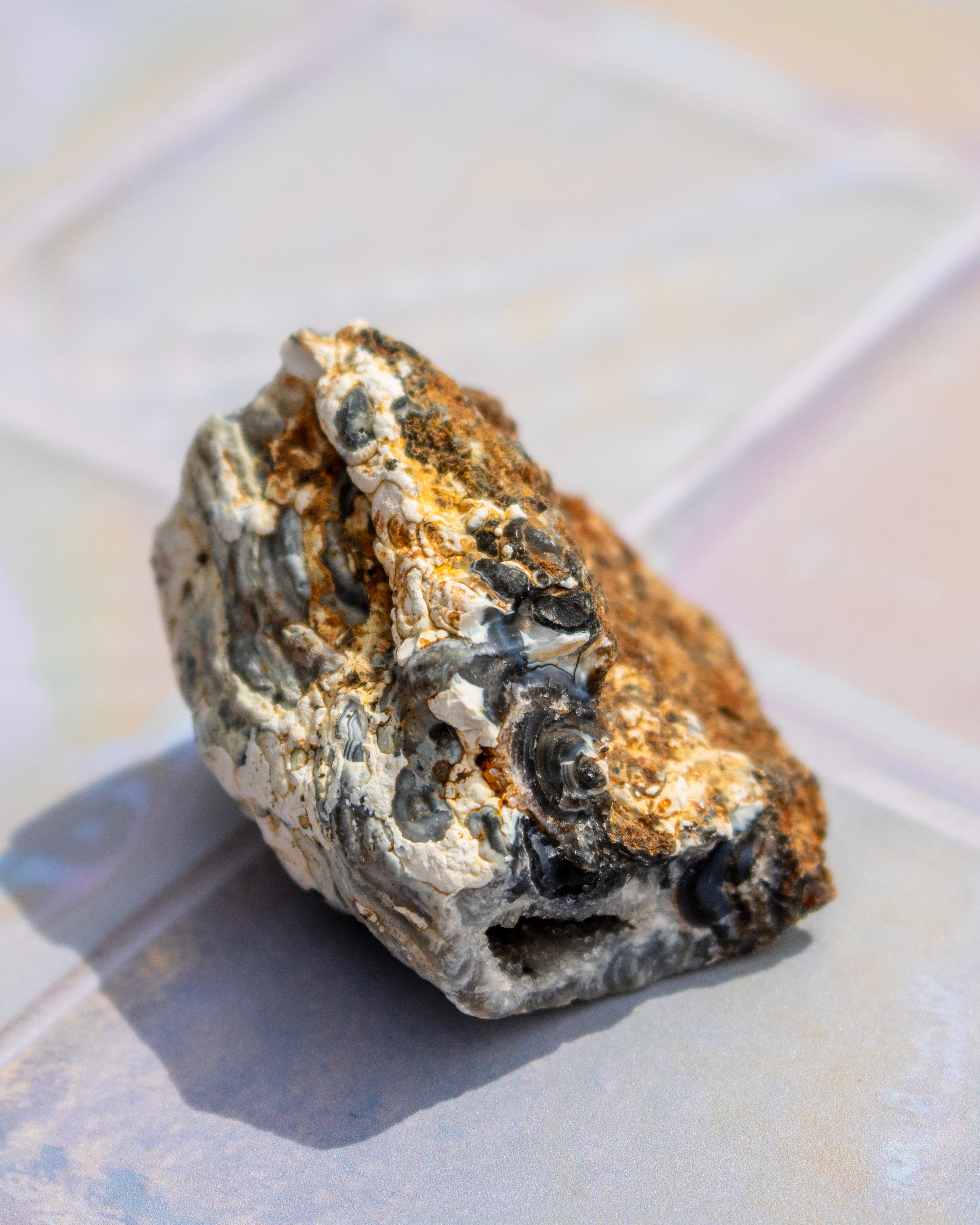 A natural rough stone or mineral specimen with a textured, porous surface, showing a mix of gray, beige, and brown tones, resting on a light gray surface.