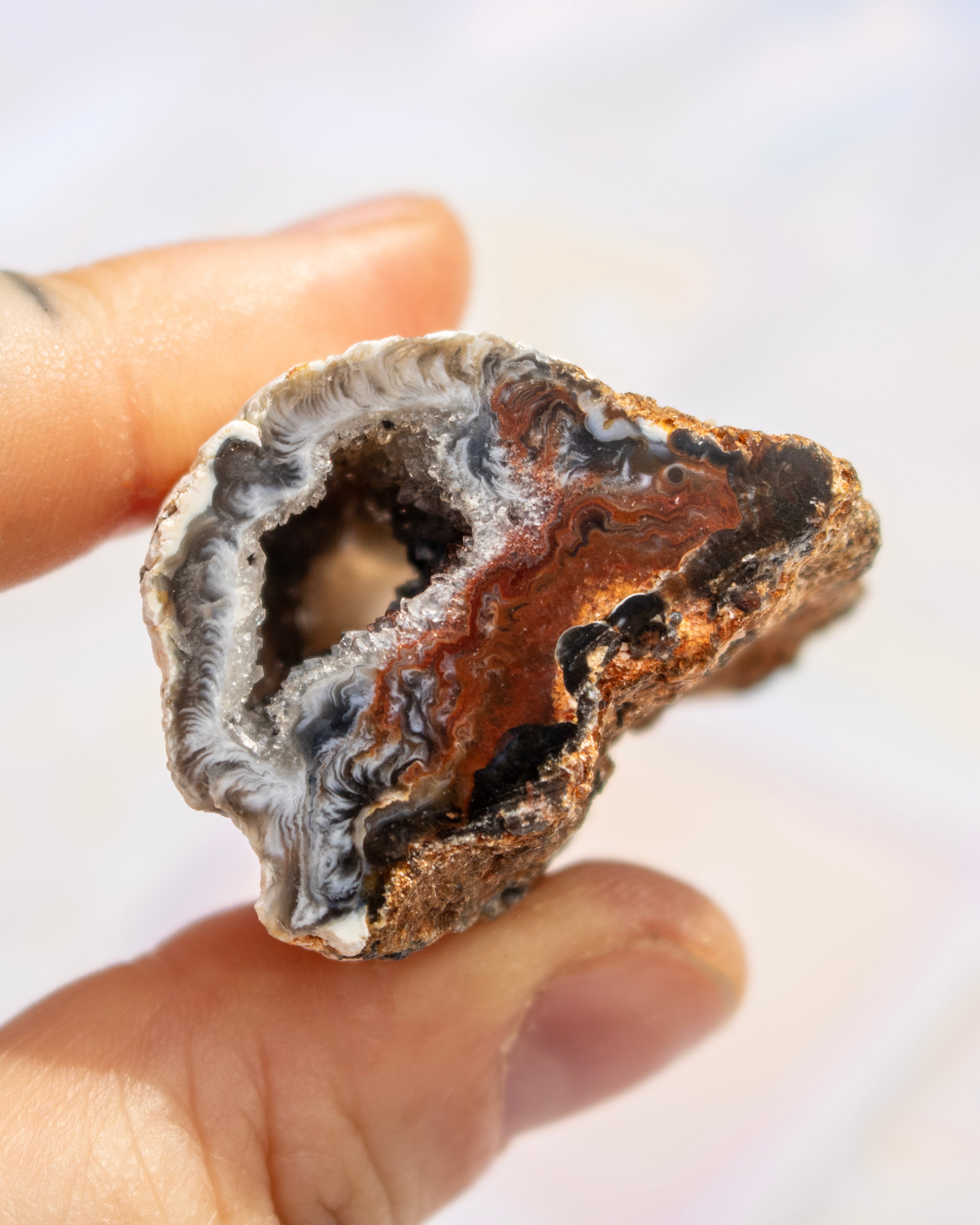A hand holding a polished geode slice with concentric layers of brown, black, white, and gray agate, set against a soft, out-of-focus white background.