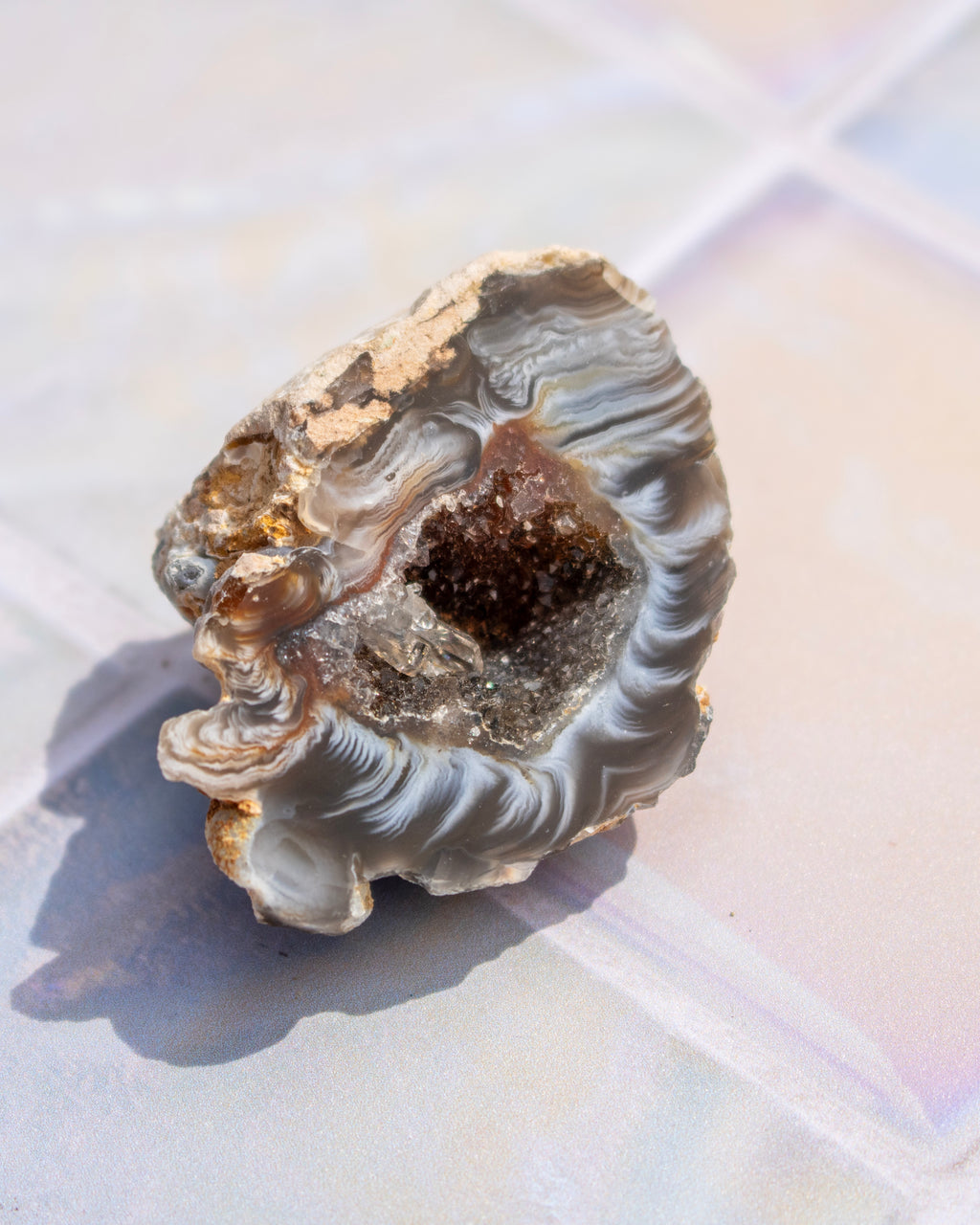 A natural agate geode specimen with a dark brown crystal cluster inside, featuring layered gray and white banded agate walls and a rough beige outer rim, photographed on a light iridescent surface.