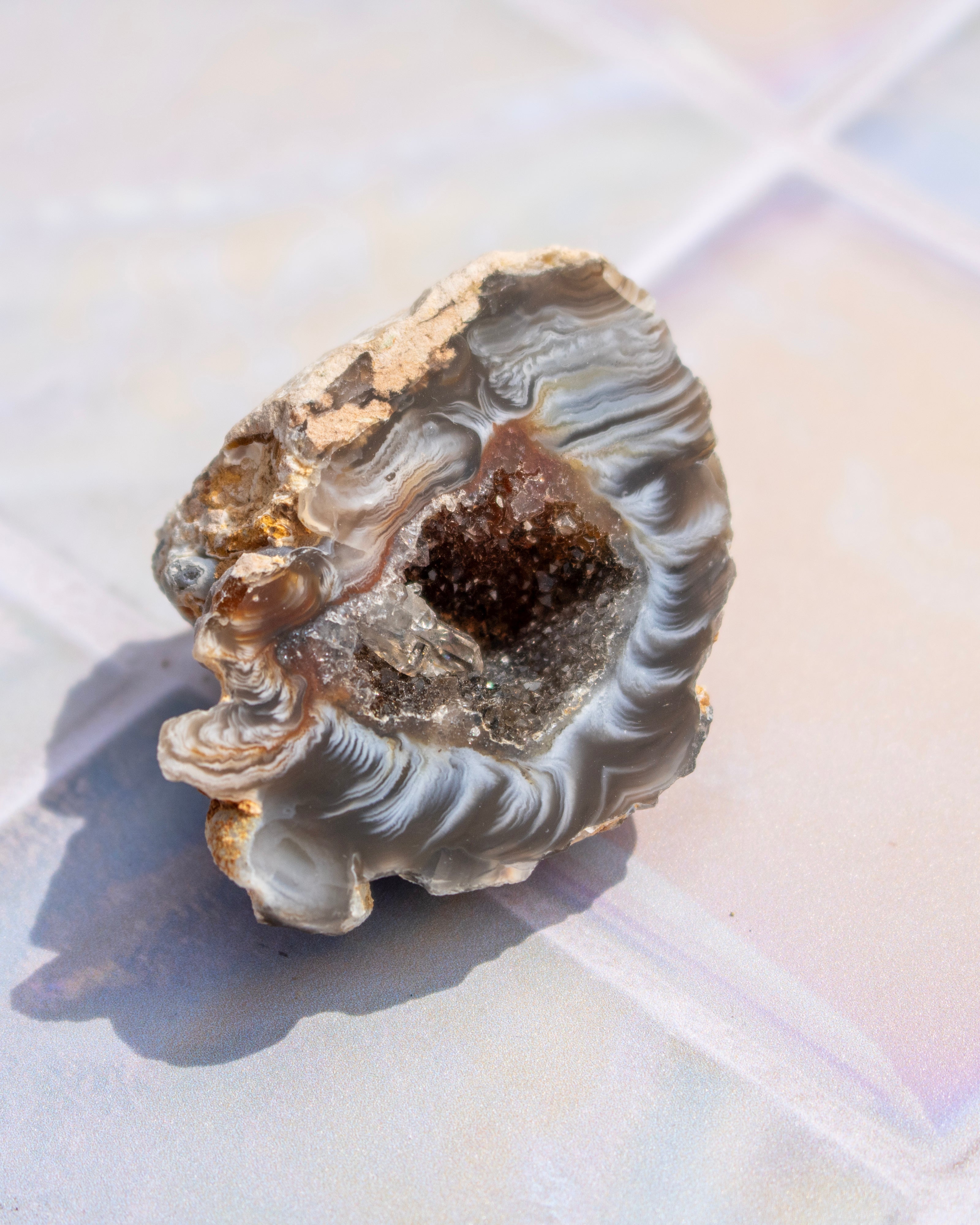A natural agate geode specimen with a dark brown crystal cluster inside, featuring layered gray and white banded agate walls and a rough beige outer rim, photographed on a light iridescent surface.