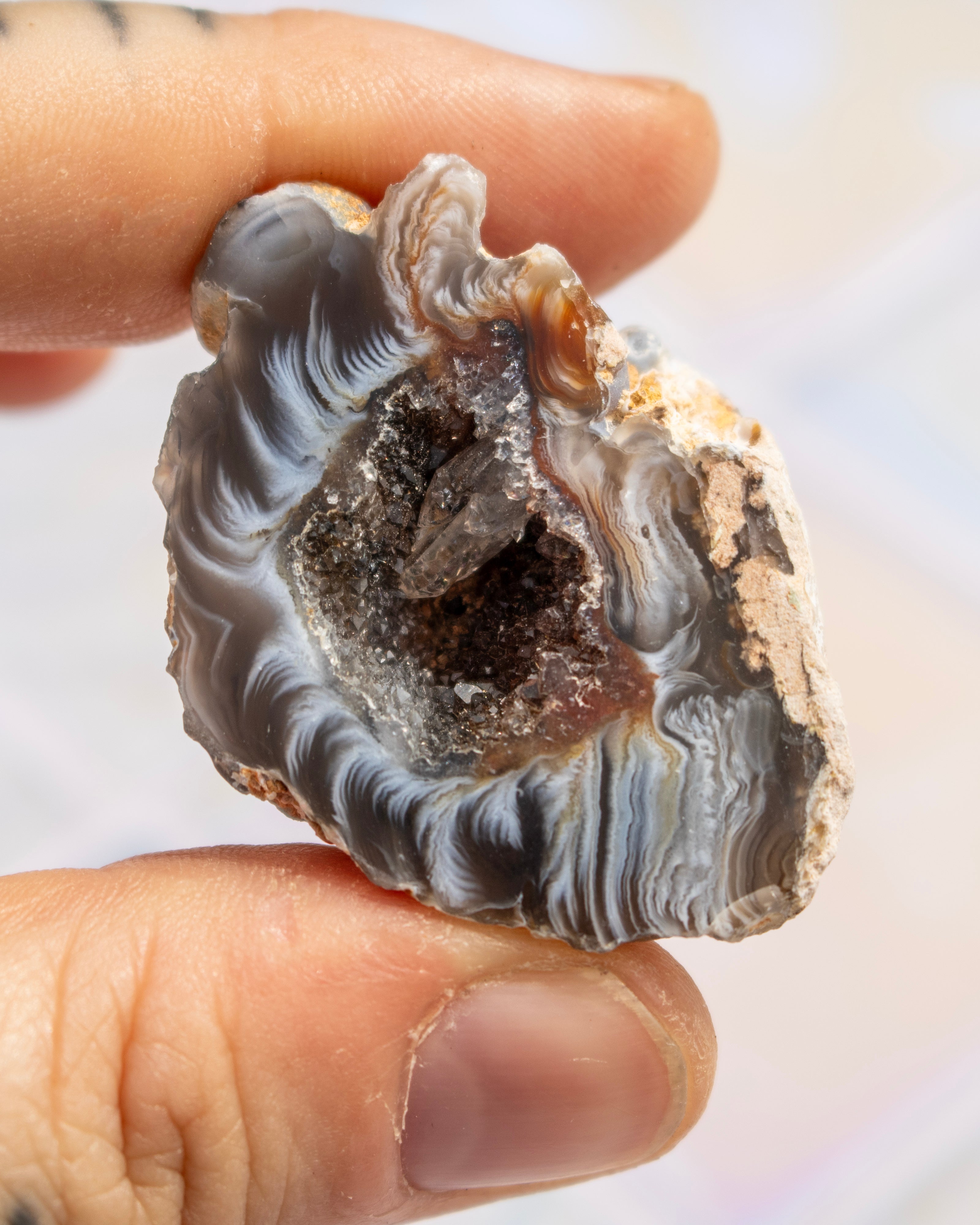 A close-up of a hand holding a polished agate geode dome with layered gray, white, and brown banded patterns and a dark central cavity.